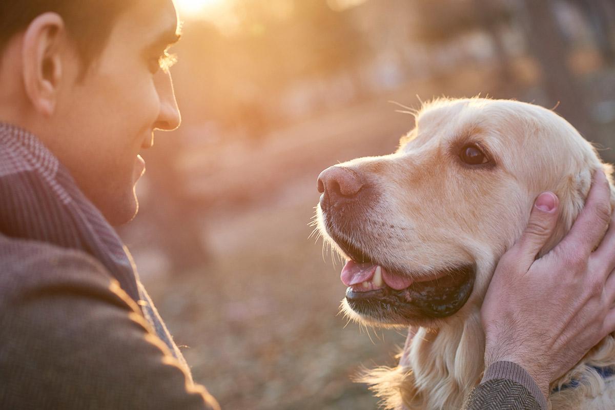 a close up of a person and a dog looking at the camera