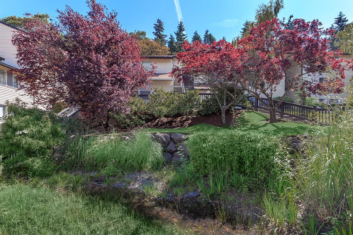 a close up of a flower garden in front of a house