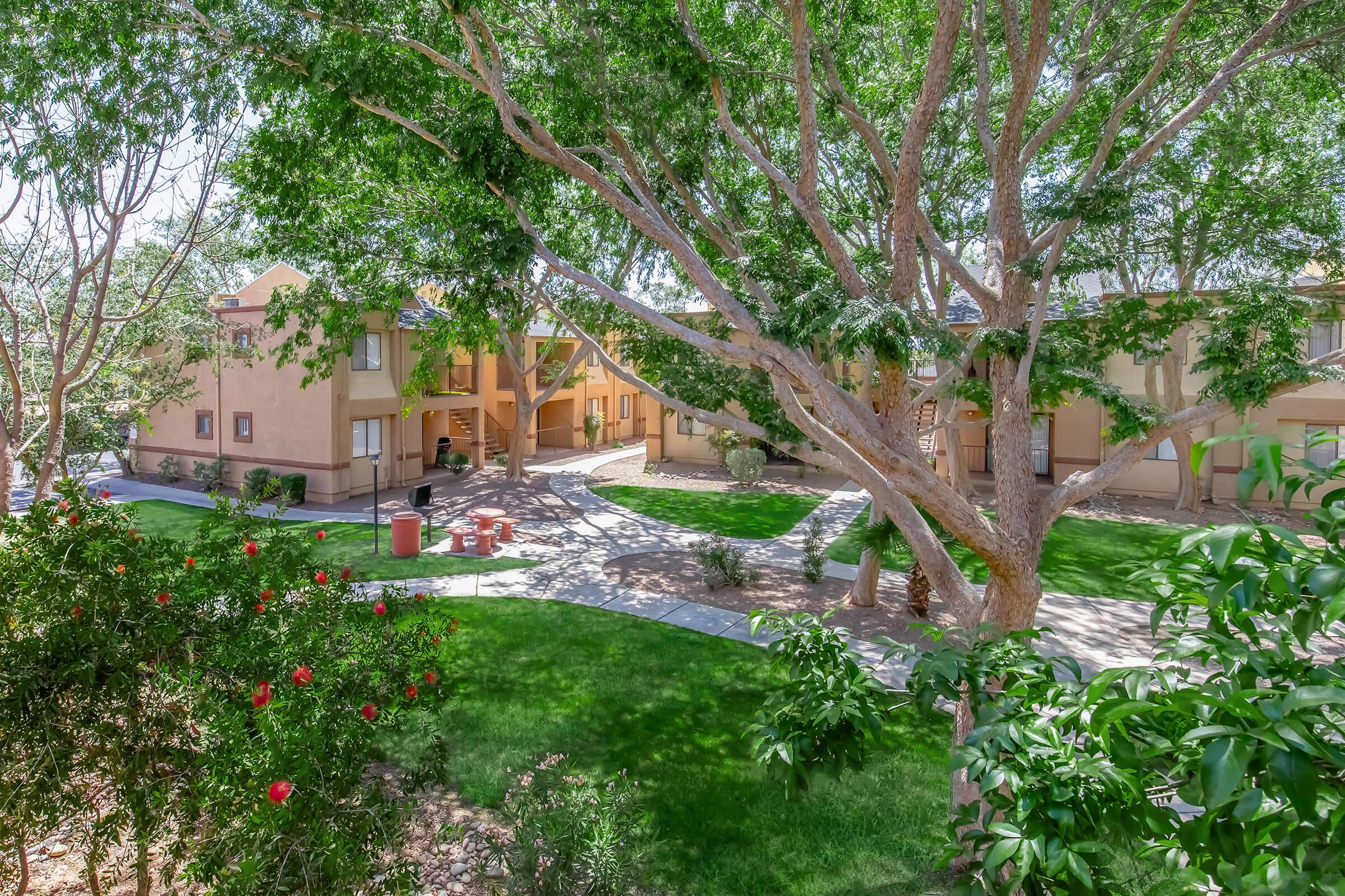 A sunny courtyard surrounded by apartment buildings, featuring lush green lawns and large trees. There are flowerbeds with red blossoms, a paved pathway winding through the area, and outdoor seating areas with tables and chairs, creating a peaceful residential environment.