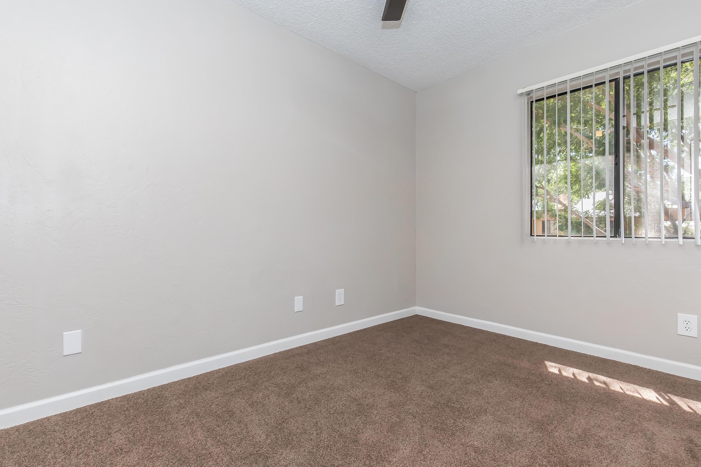 A vacant room with light gray walls and a brown carpet. There is a single window with blinds allowing natural light to enter, and two electrical outlets visible on the wall. The room appears clean and bright, suitable for various uses.