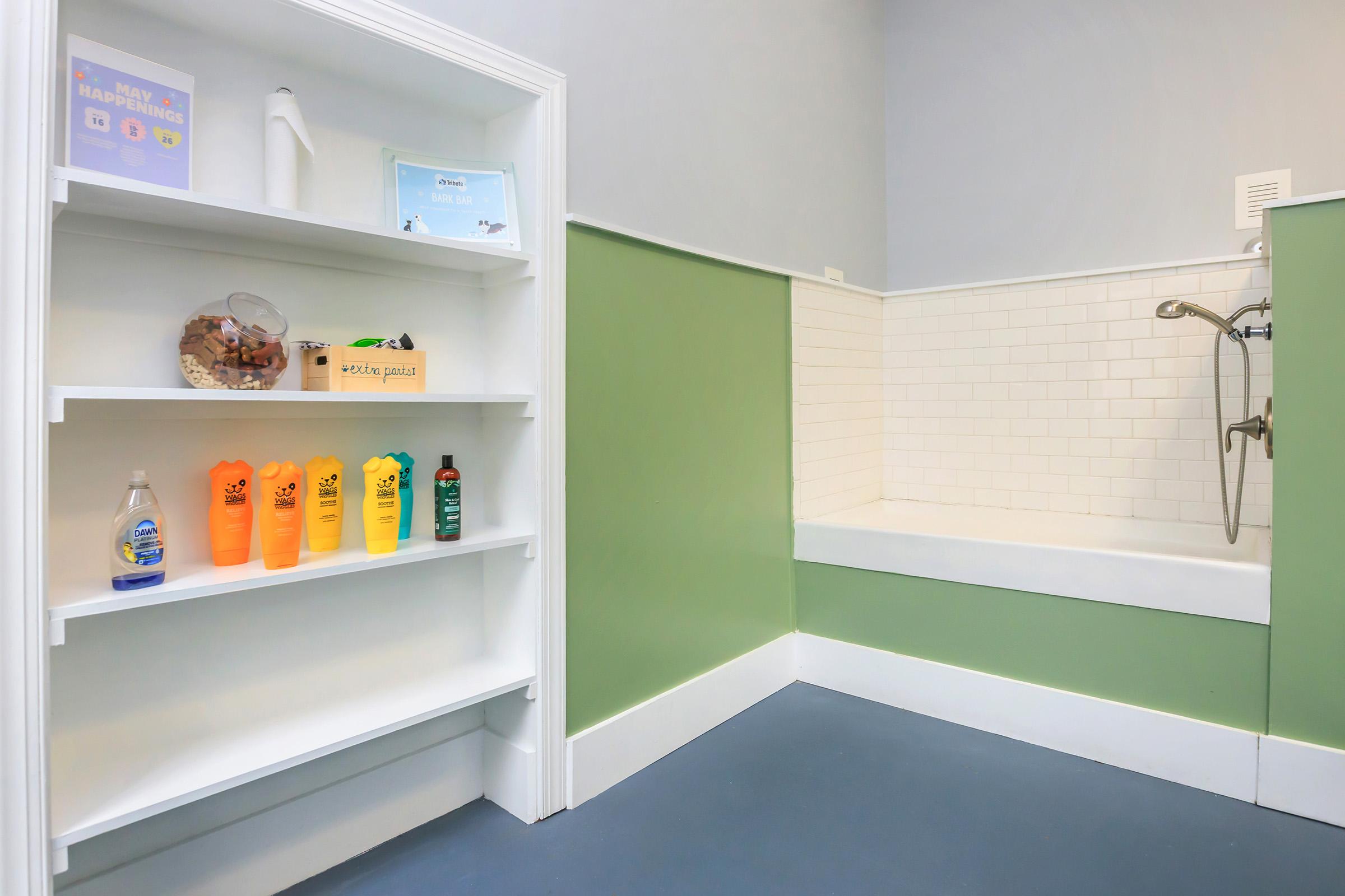 A clean bathroom with a tiled shower area and a bathtub. On the left, a white shelf displays colorful bottles of shampoo, conditioner, and cleaning products, along with a box of pet treats. The walls are painted in pale green and light gray, creating a bright and inviting atmosphere.