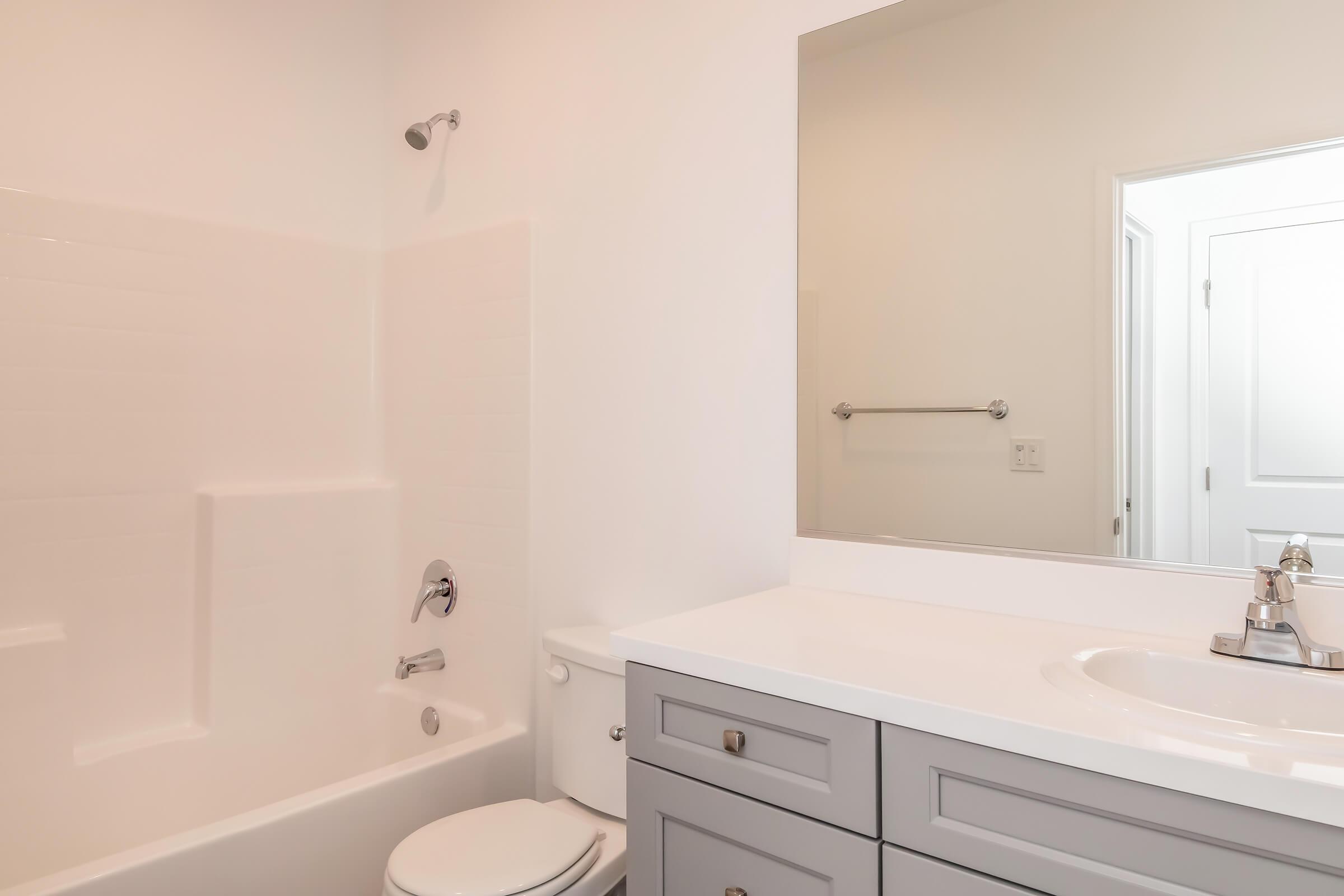A modern bathroom featuring a white bathtub with a shower fixture, a vanity with a sink and gray cabinetry, a large mirror above the sink, and a neutral-colored wall. A door can be seen in the background, adding to the room's spacious feel.