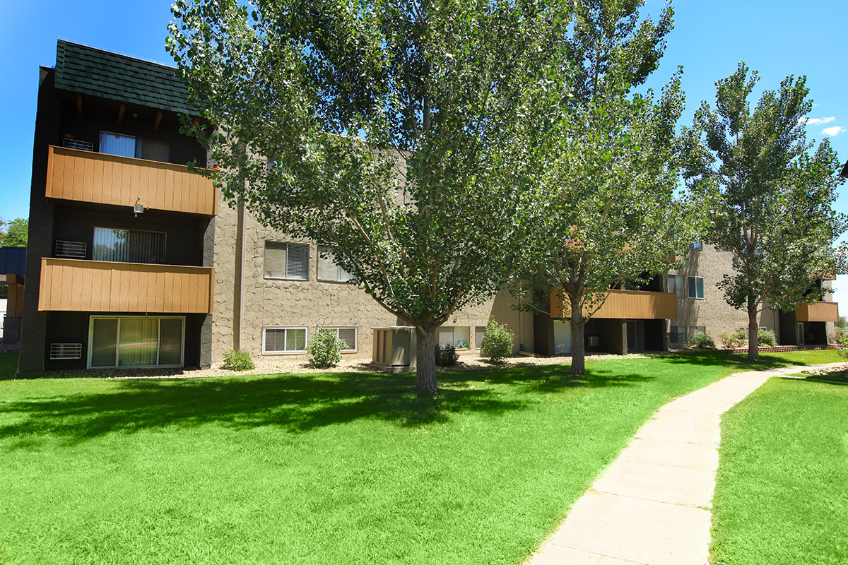 a large lawn in front of a house