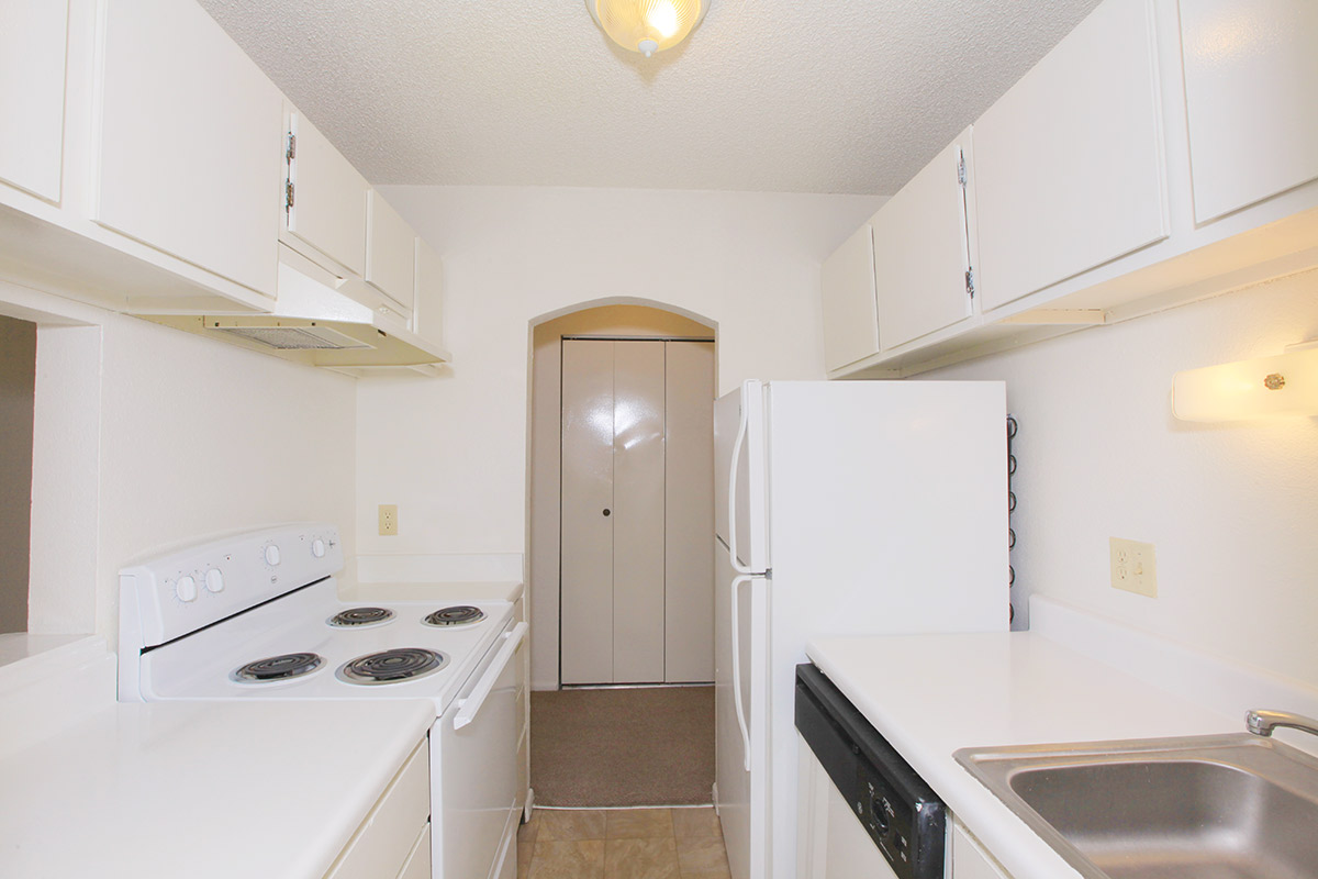 a kitchen with a stove sink and refrigerator