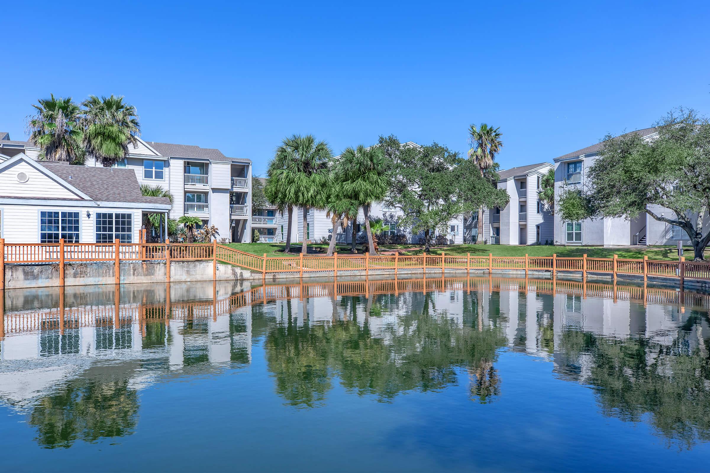 Bay Neighborhood Reflection