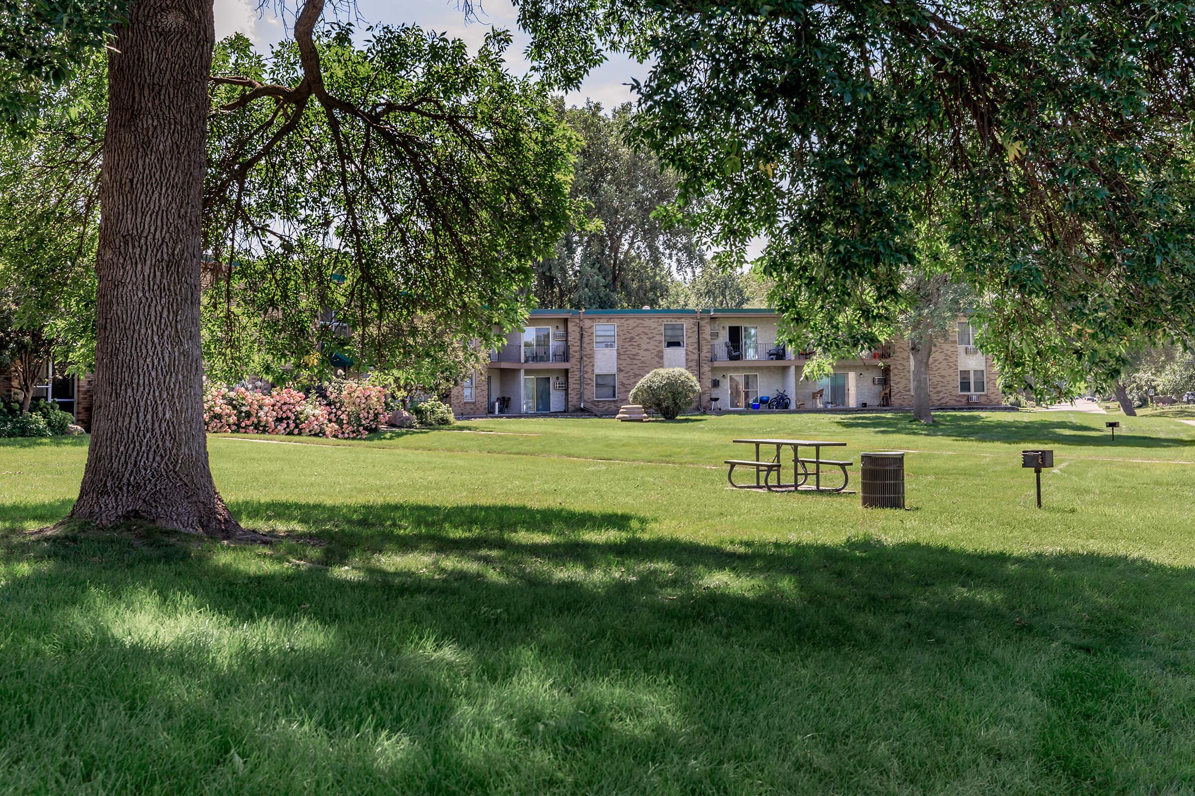 a group of lawn chairs sitting on top of a lush green field