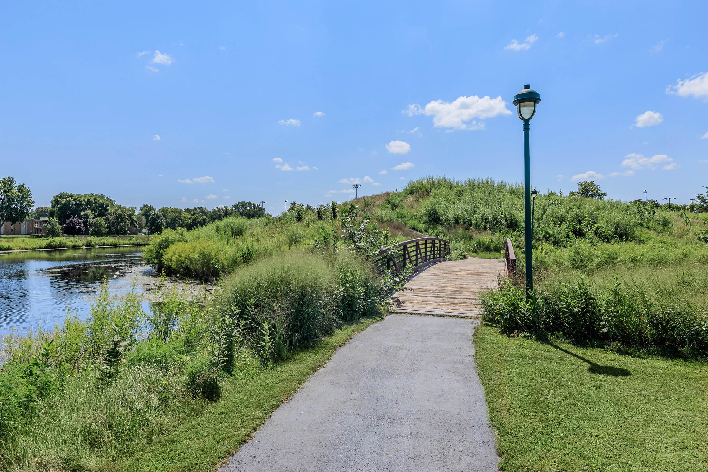 a path with trees on the side of a river