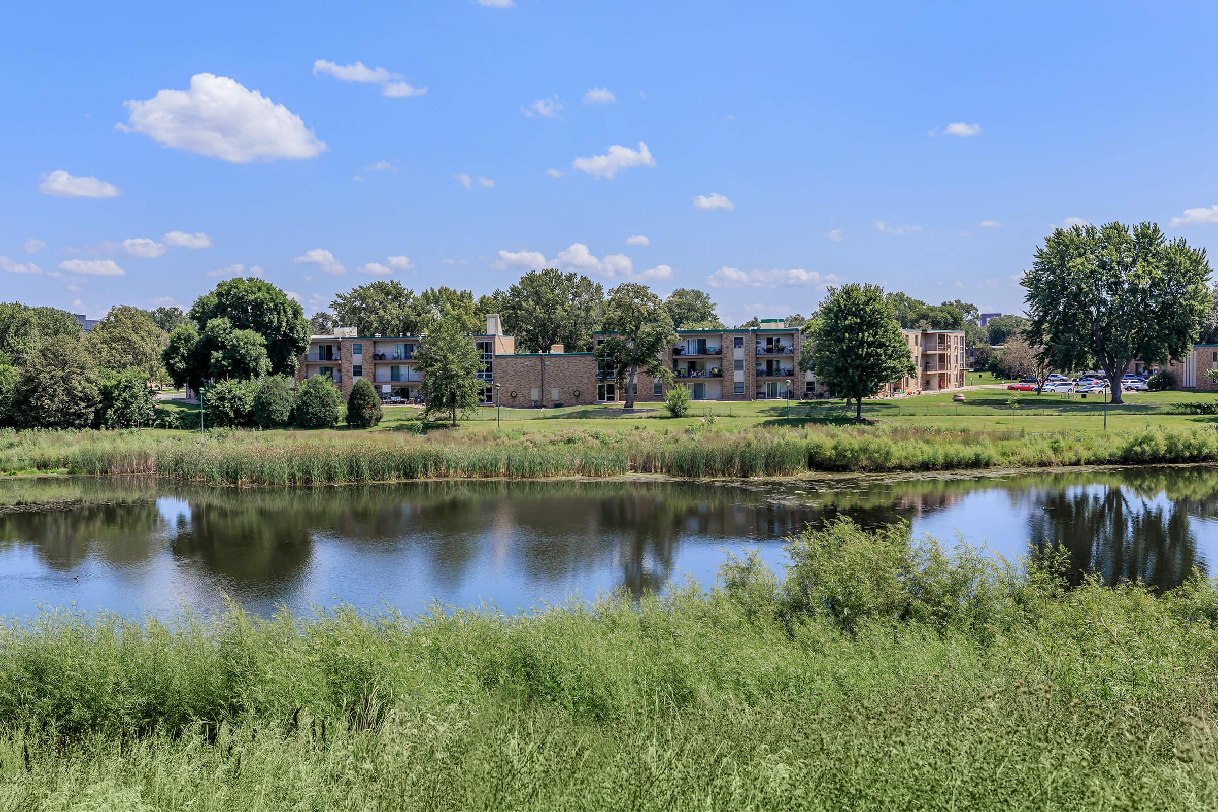 a large body of water surrounded by trees