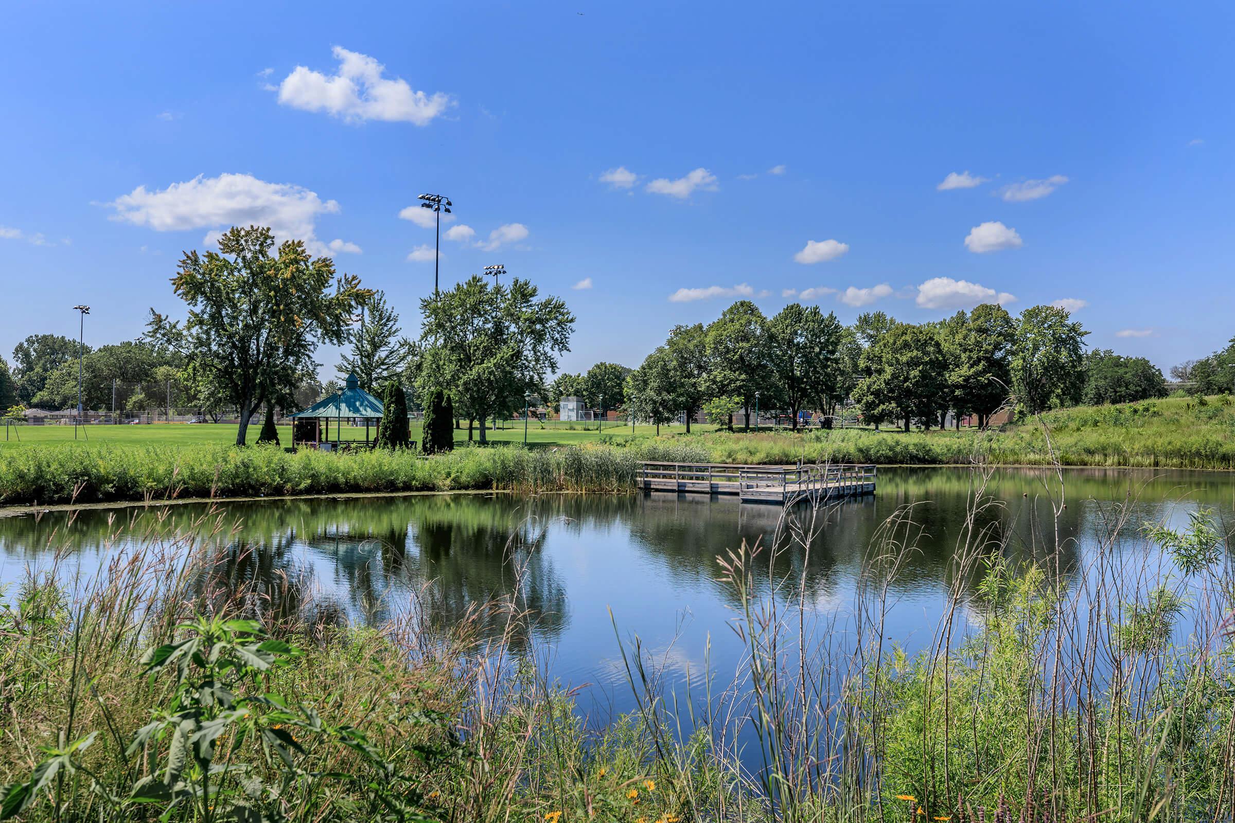 a body of water surrounded by trees