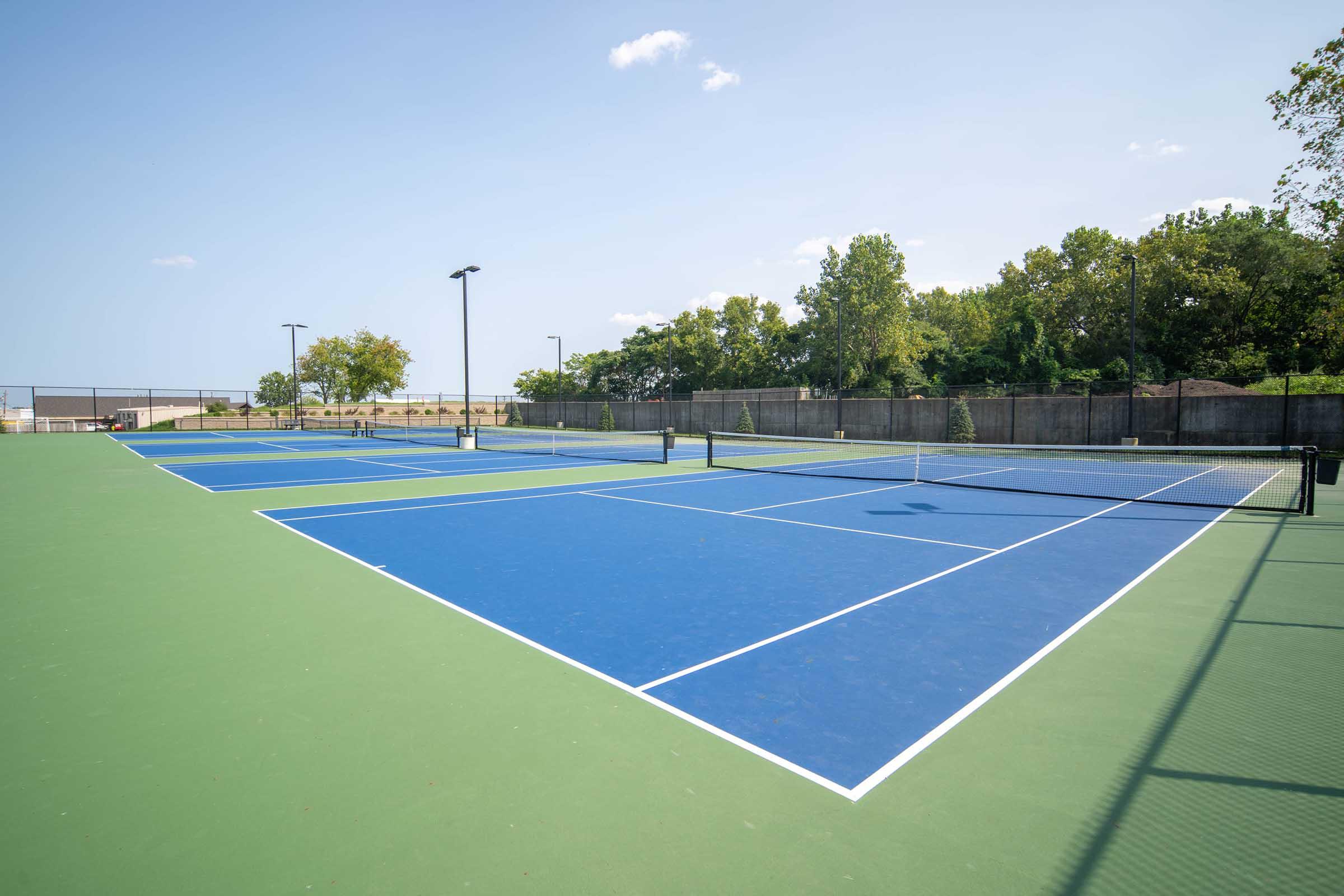 a blue and green court