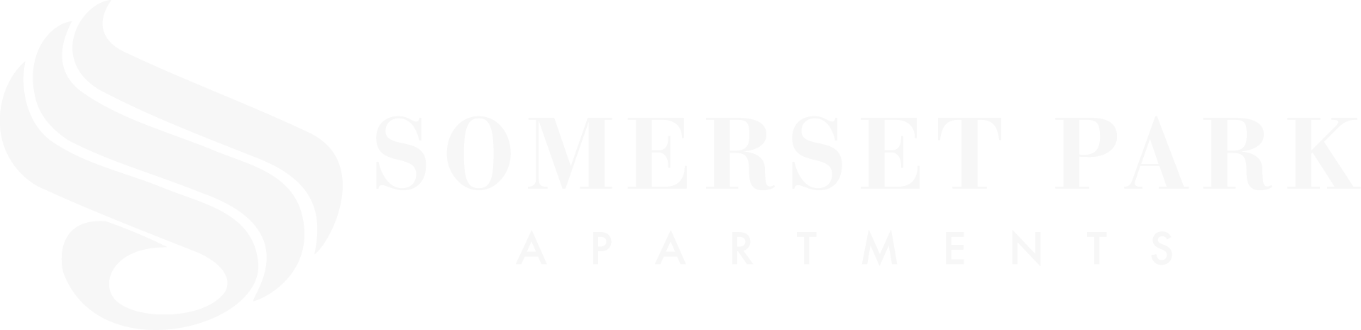 Somerset Park Apartments ebrochure logo