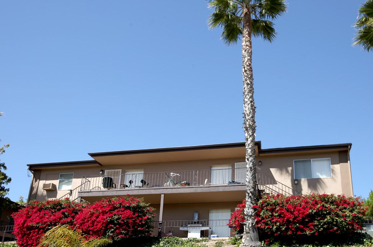 a palm tree in front of a building