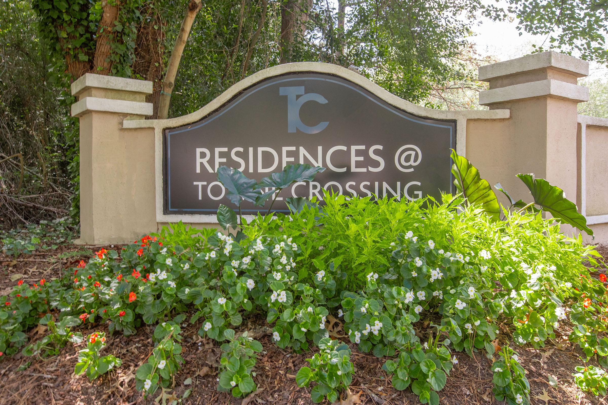 a close up of a flower garden in front of a building