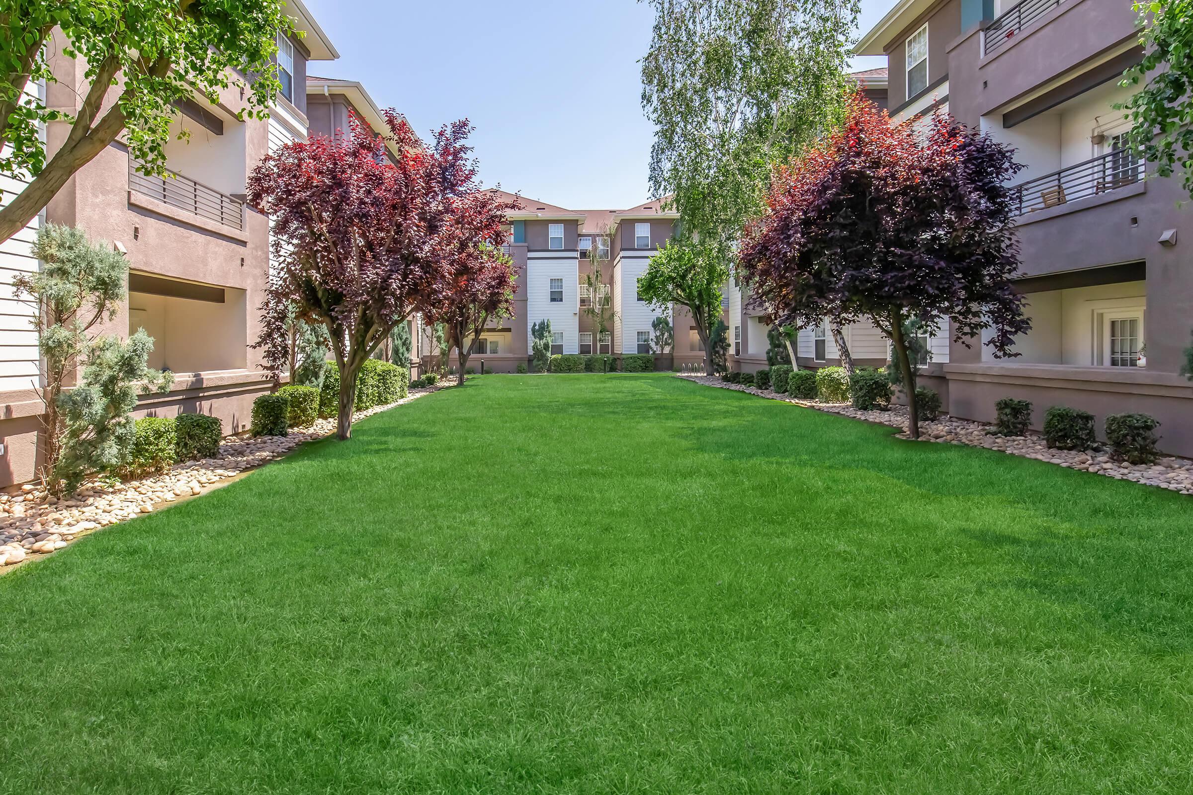 A well-maintained green lawn is surrounded by residential buildings. The landscape features several ornamental trees, including reddish-purple foliage, and neatly arranged rocks along the edges. The bright blue sky overhead enhances the tranquil and inviting atmosphere of the outdoor space.