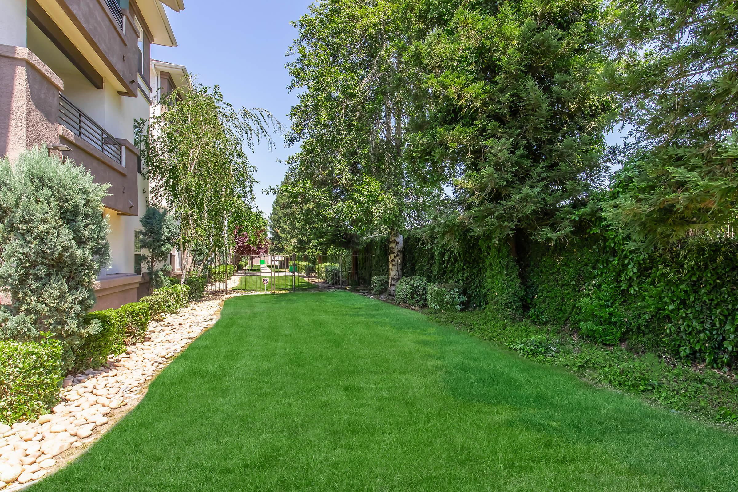 A well-maintained grassy lawn bordered by decorative stones, with tall trees and shrubs on either side. In the background, a fence encloses a garden area, and the sky is clear, suggesting a bright, sunny day. The scene conveys a sense of tranquility and greenery.