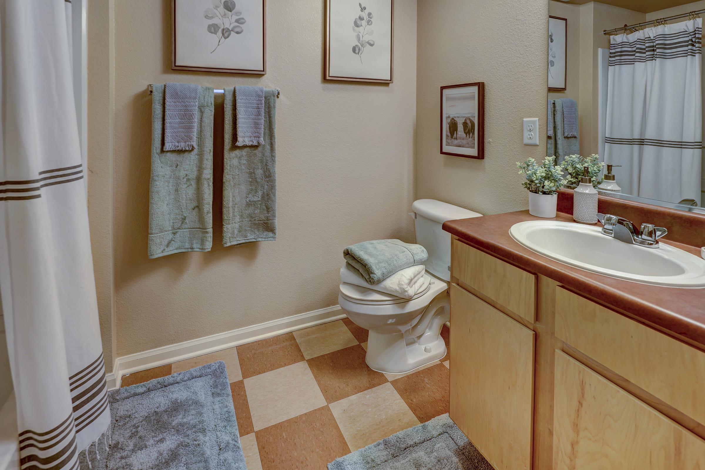 A well-decorated bathroom featuring a toilet, sink with a countertop, and two towels hanging on a rack. There are framed botanical prints on the walls, a potted plant on the sink, and a bath mat on the floor. The flooring has a checkered pattern in light and dark colors.