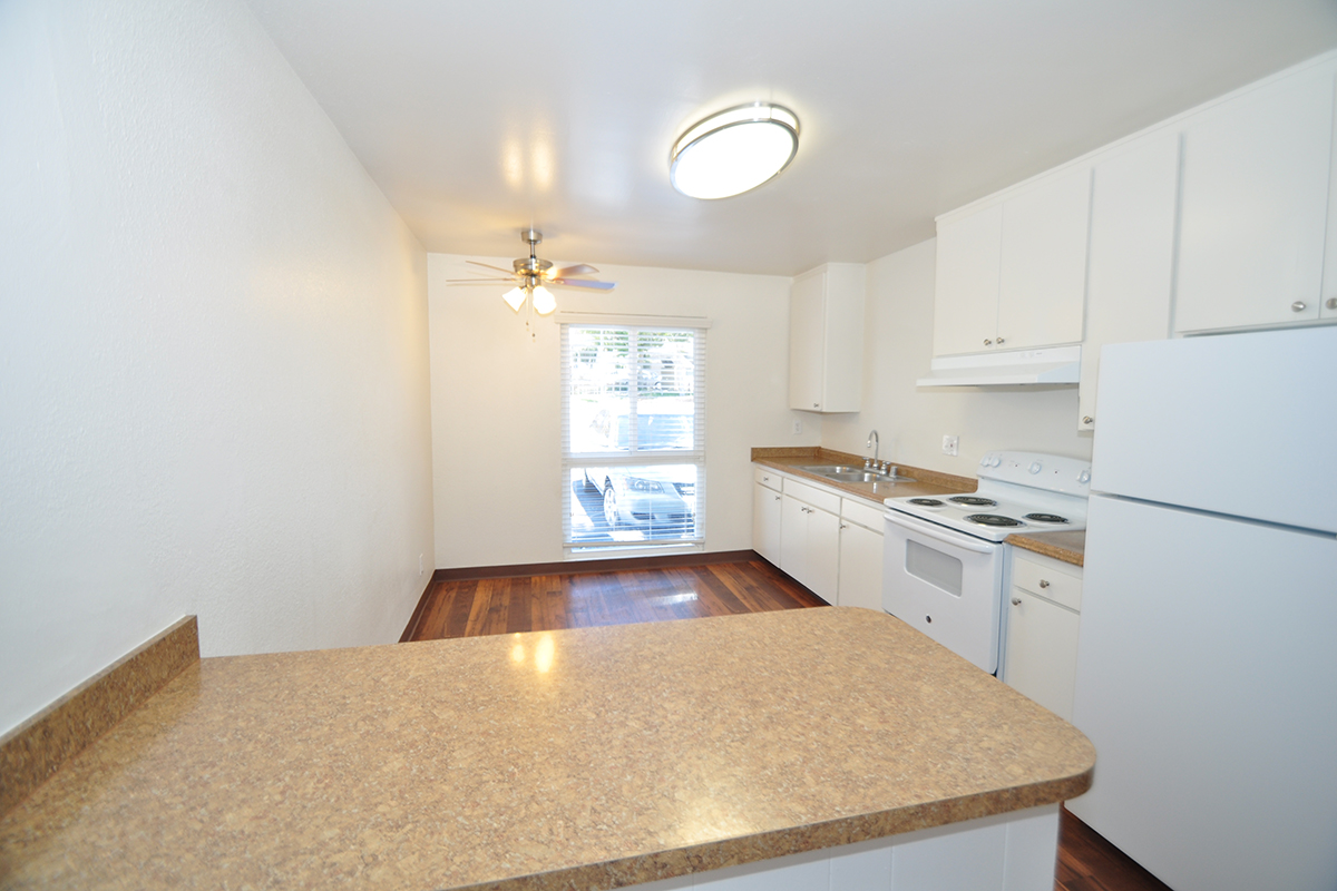 a kitchen with a sink and a refrigerator