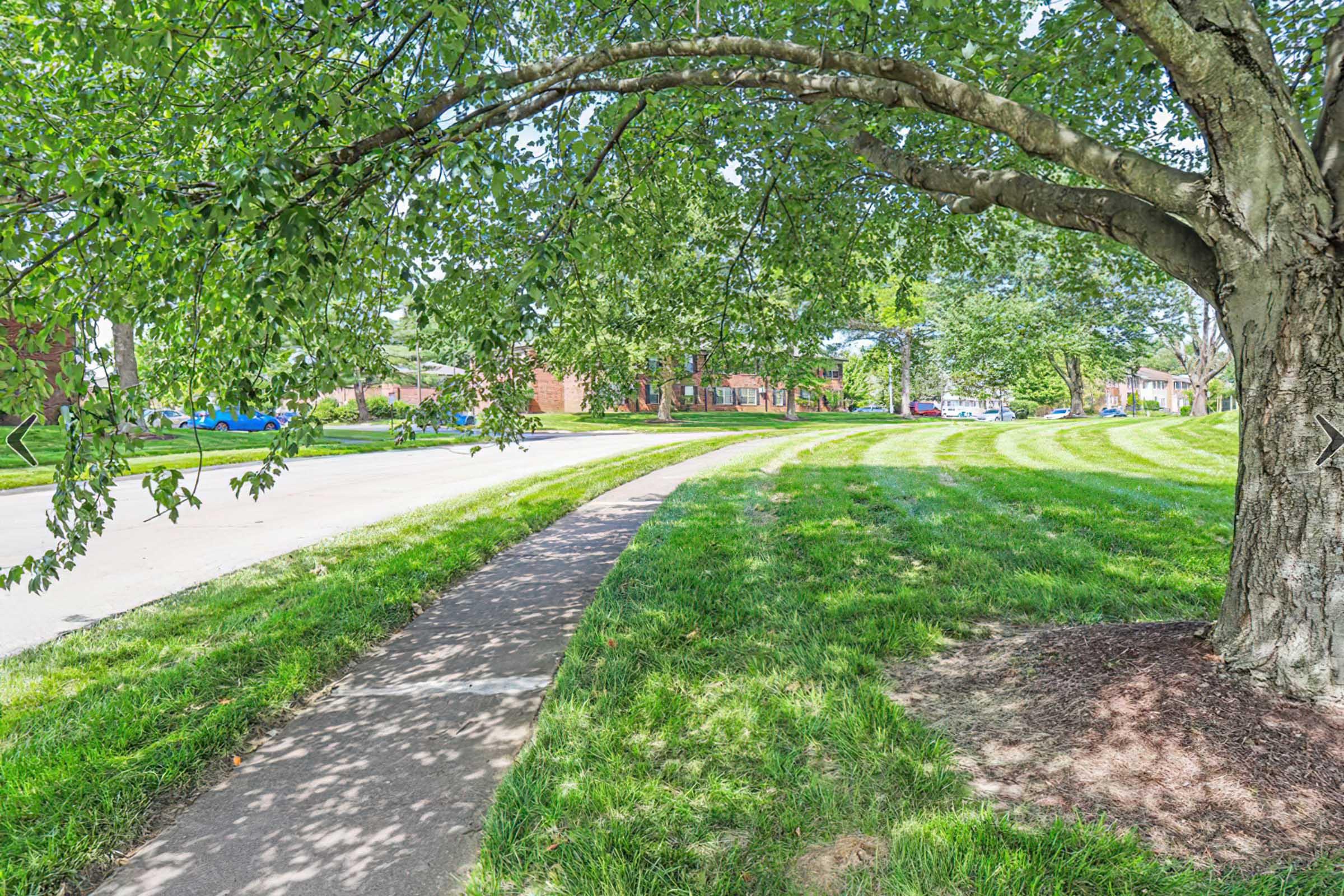 A scenic view of a green park area featuring a large tree with a broad canopy, casting shade over a paved walkway. The path winds alongside a well-maintained lawn with striped grass, while a quiet neighborhood is visible in the background with residential buildings and parked cars.