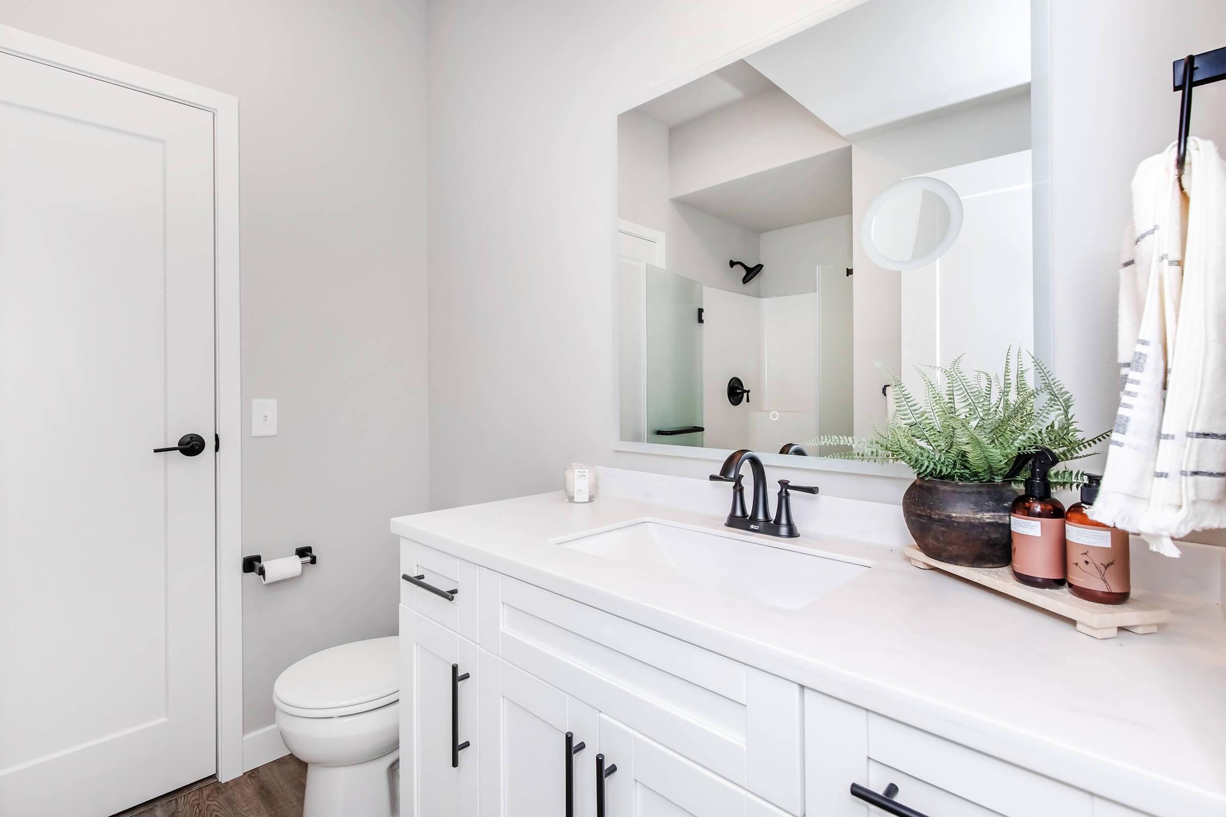 Modern bathroom featuring a white vanity with a double sink, black faucet fixtures, and a large mirror. A potted fern and cosmetic bottles are displayed on a wooden tray. The room has a white door, a toilet, and a glass shower enclosure, all set against light gray walls.