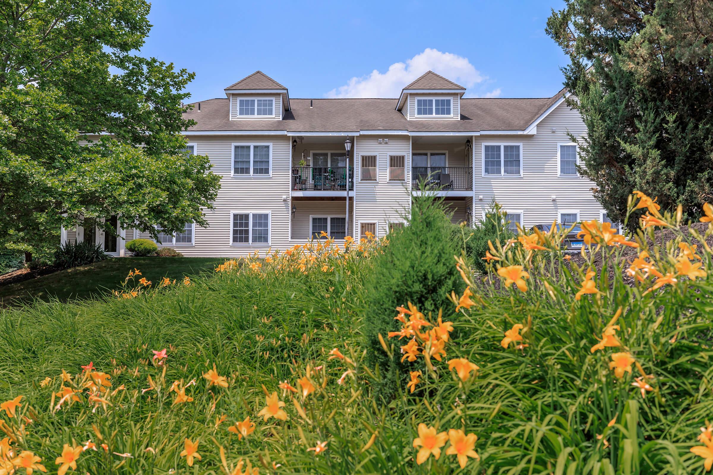 a close up of a flower garden in front of a house