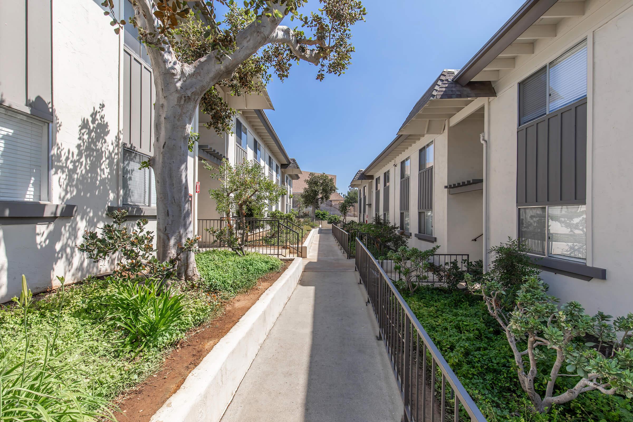 a path with trees on the side of a building