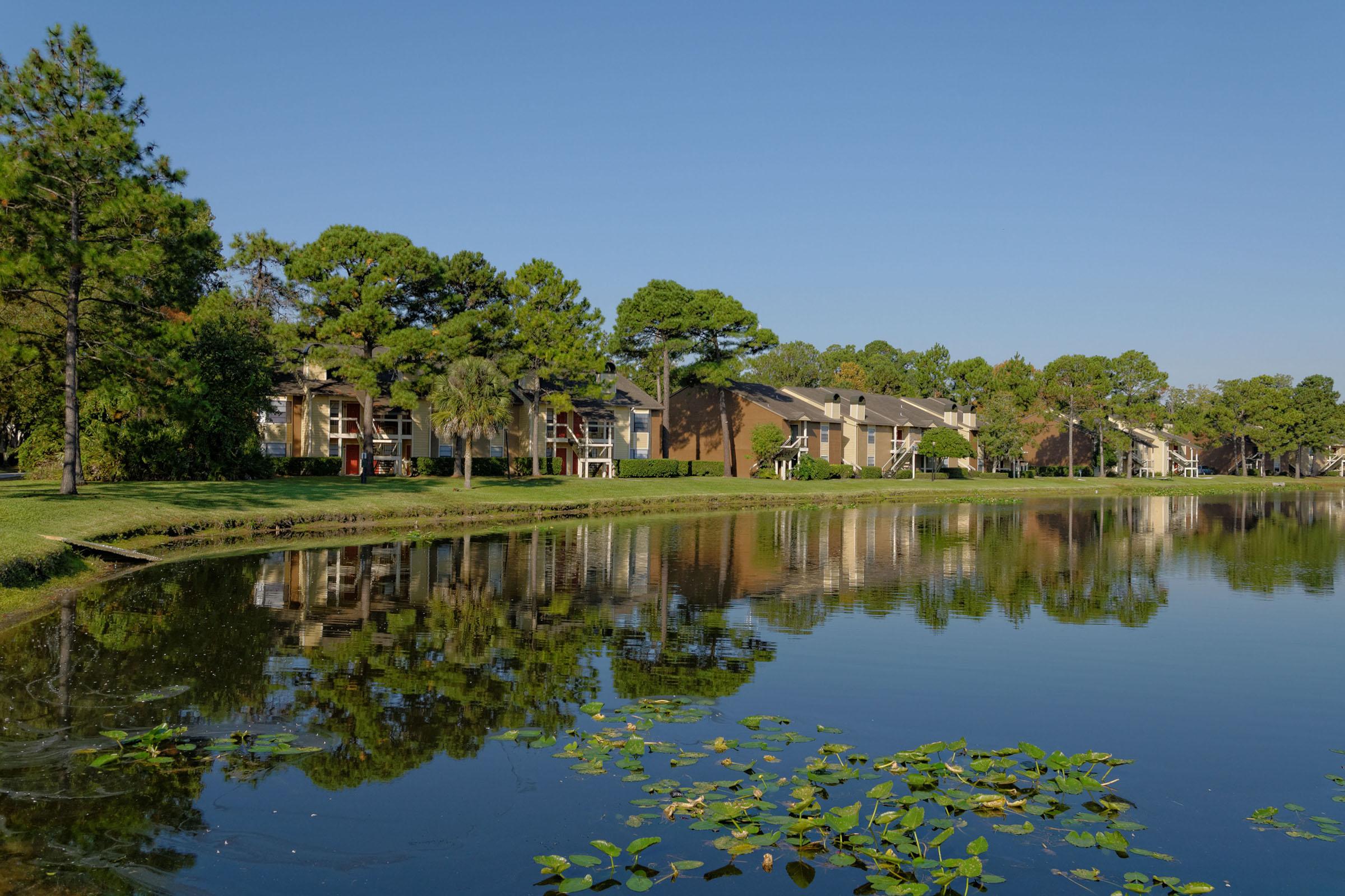 A calm lake reflecting a row of residential buildings surrounded by lush greenery and tall pine trees under a clear blue sky. Lilypads float on the water's surface, adding to the serene landscape.