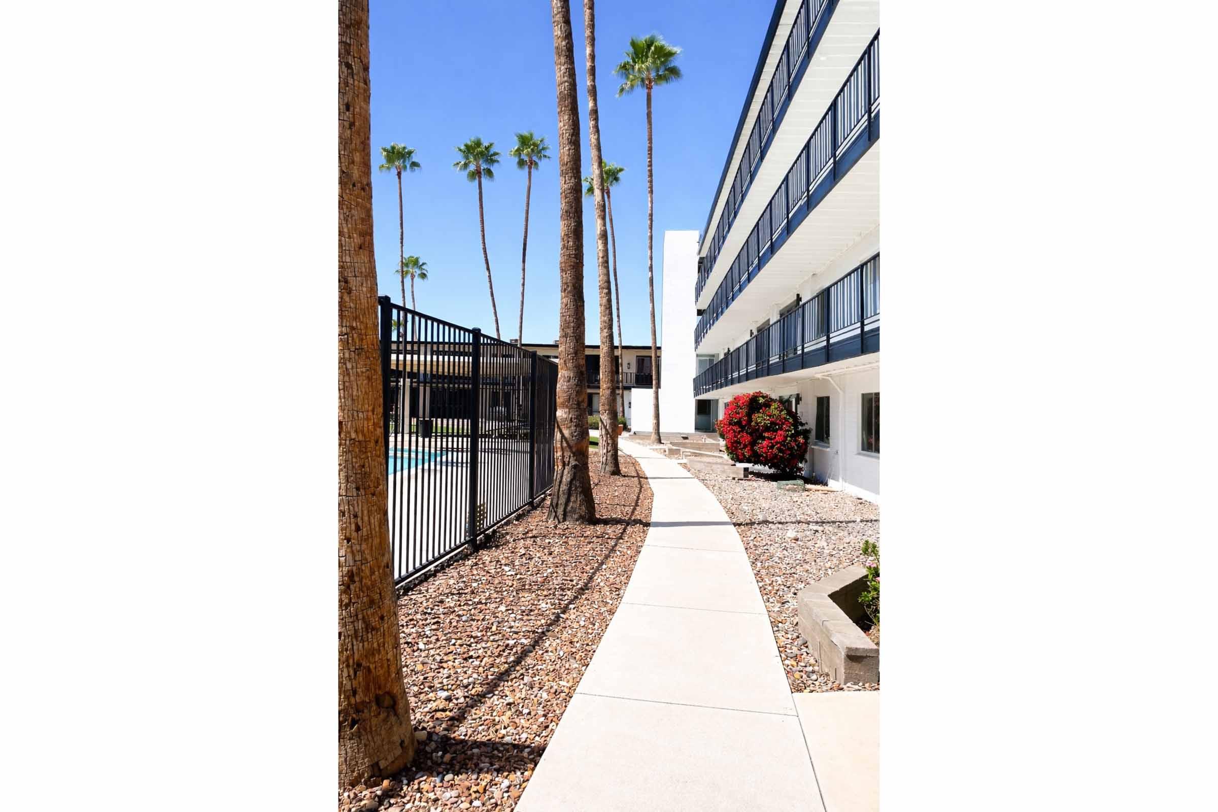 A paved walkway lined with palm trees leads to a fenced pool area. Colorful flowers are planted along the path, and a modern building with balconies is visible in the background under clear blue skies. Bright sunlight enhances the vibrant colors of the scene.
