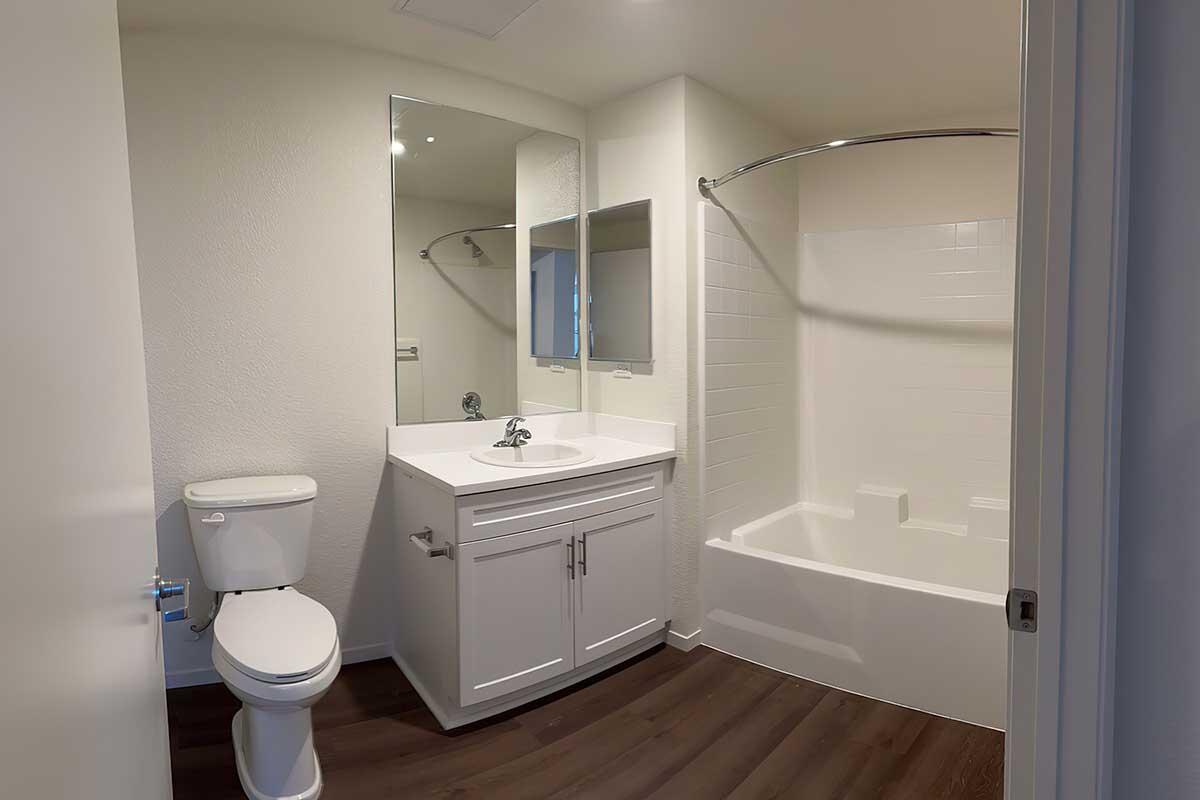 A small, modern bathroom featuring a white bathtub with a shower curtain, a vanity with a sink, a large mirror above the sink, and a toilet.