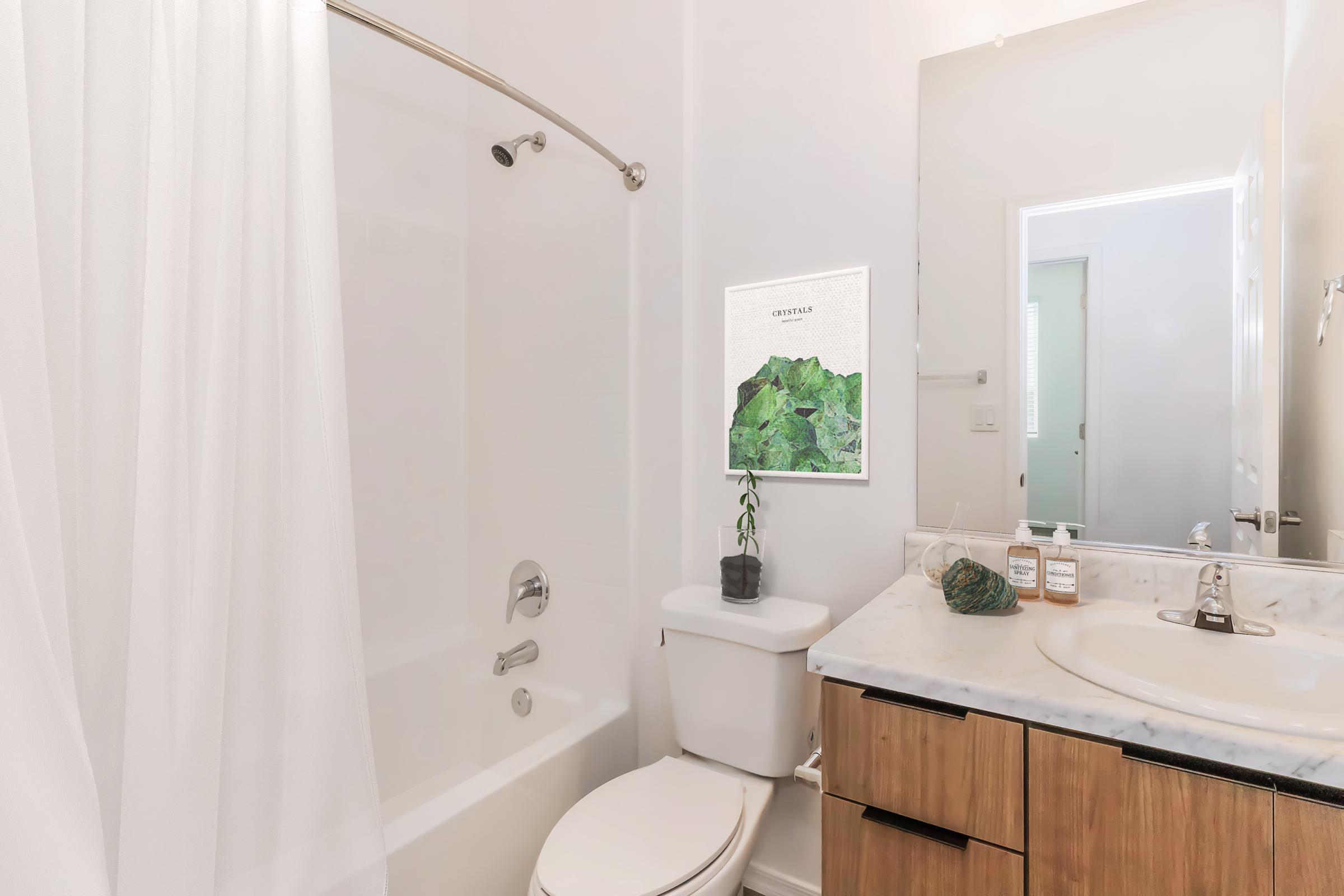 A modern bathroom featuring a white bathtub with a shower curtain, a wooden vanity with a marble countertop, and a wall-mounted mirror. A small plant and decorative items are on the vanity, and a framed art piece is displayed on the wall, adding a touch of design to the space.