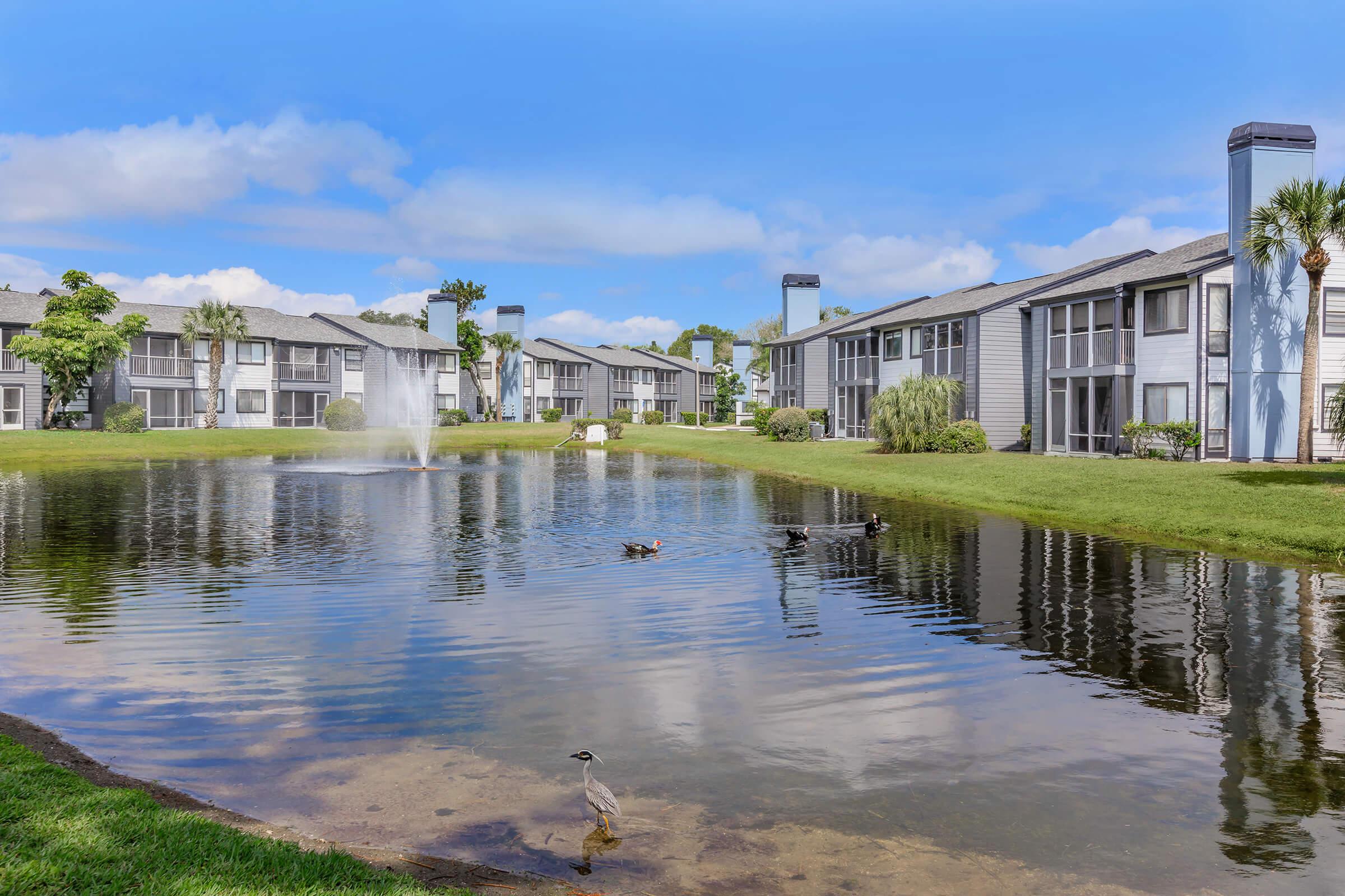 A serene view of a residential complex by a pond, featuring multiple buildings with gray roofs and large windows. Ducks can be seen swimming in the water, and a fountain sprays in the background. Lush greenery surrounds the pond, creating a peaceful and inviting atmosphere.