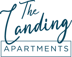 The Landing