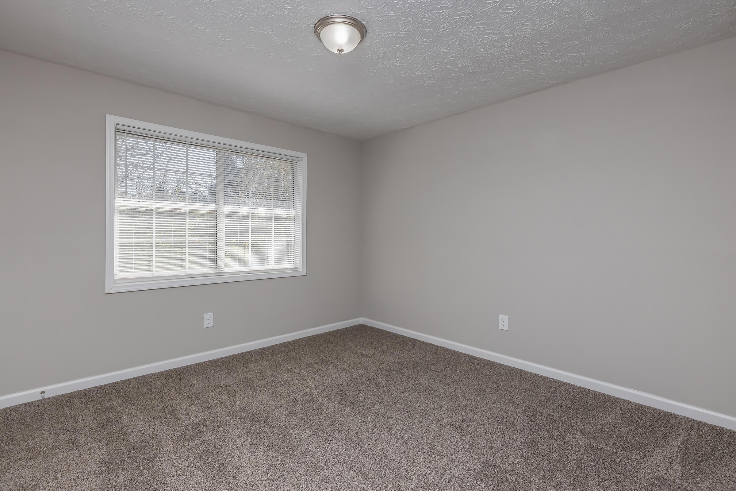 Empty room with light gray walls and carpet. A window with white blinds allows natural light in. The ceiling features a simple light fixture. The space appears clean and ready for furnishing.
