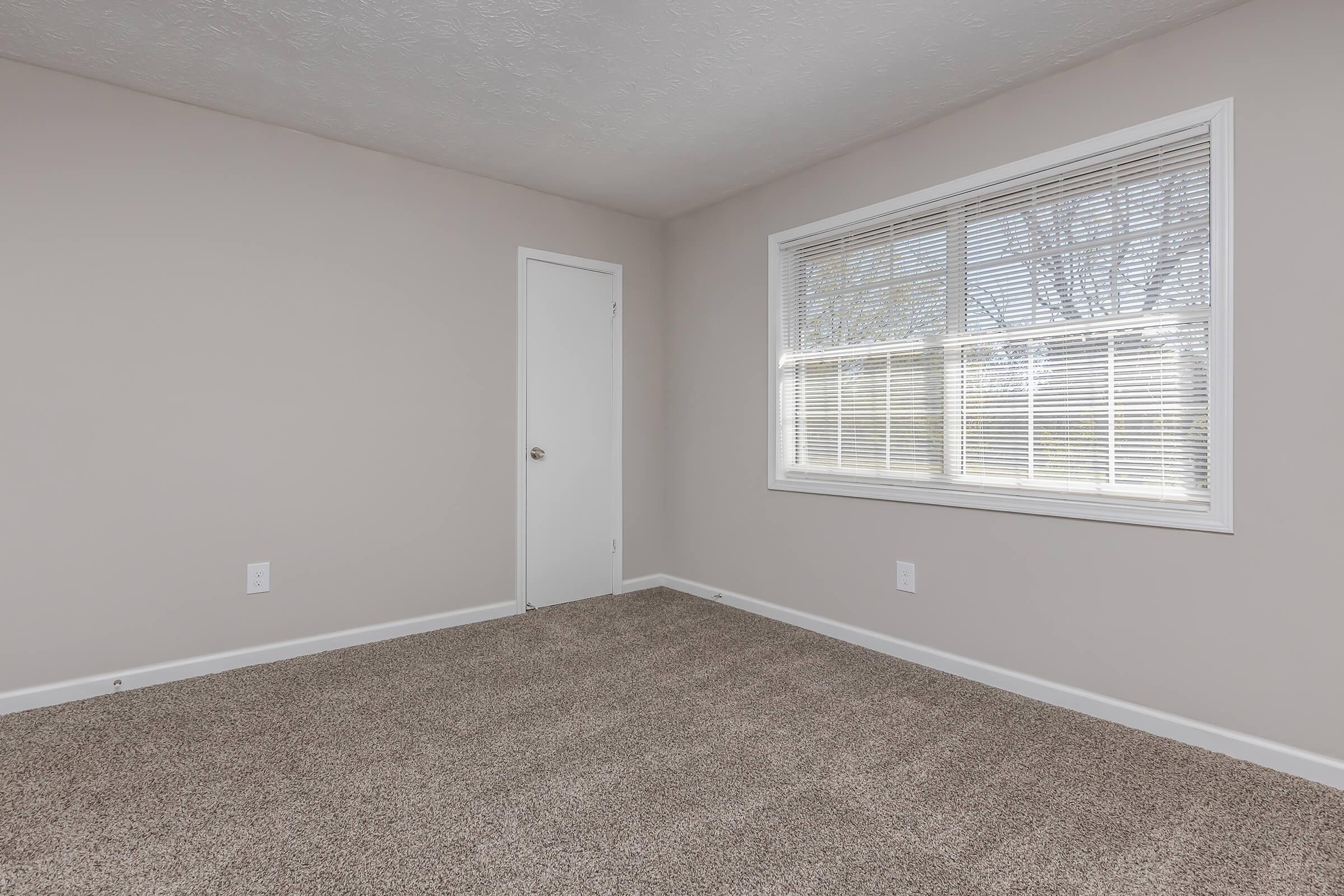 Empty room with light gray walls and a window with blinds. The floor is covered in beige carpet. A closed white door is visible on one wall, and there are no furnishings or decorations present. The overall atmosphere is minimal and bright due to natural light coming through the window.
