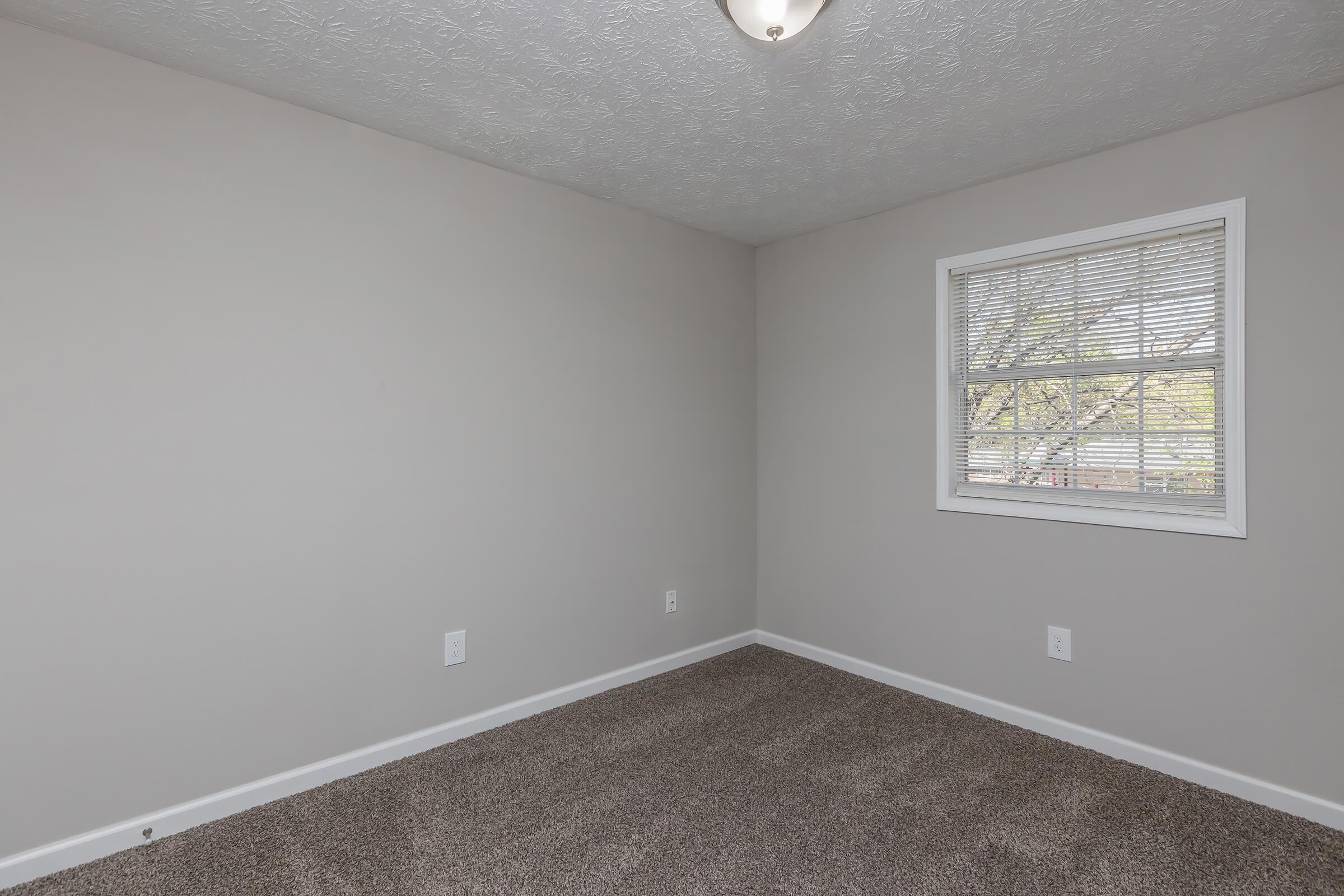 A spacious, empty room with light gray walls and a window featuring blinds. The carpet is a soft beige color, and the ceiling has a simple light fixture. The room is well-lit with natural light coming through the window, creating a bright and inviting atmosphere.