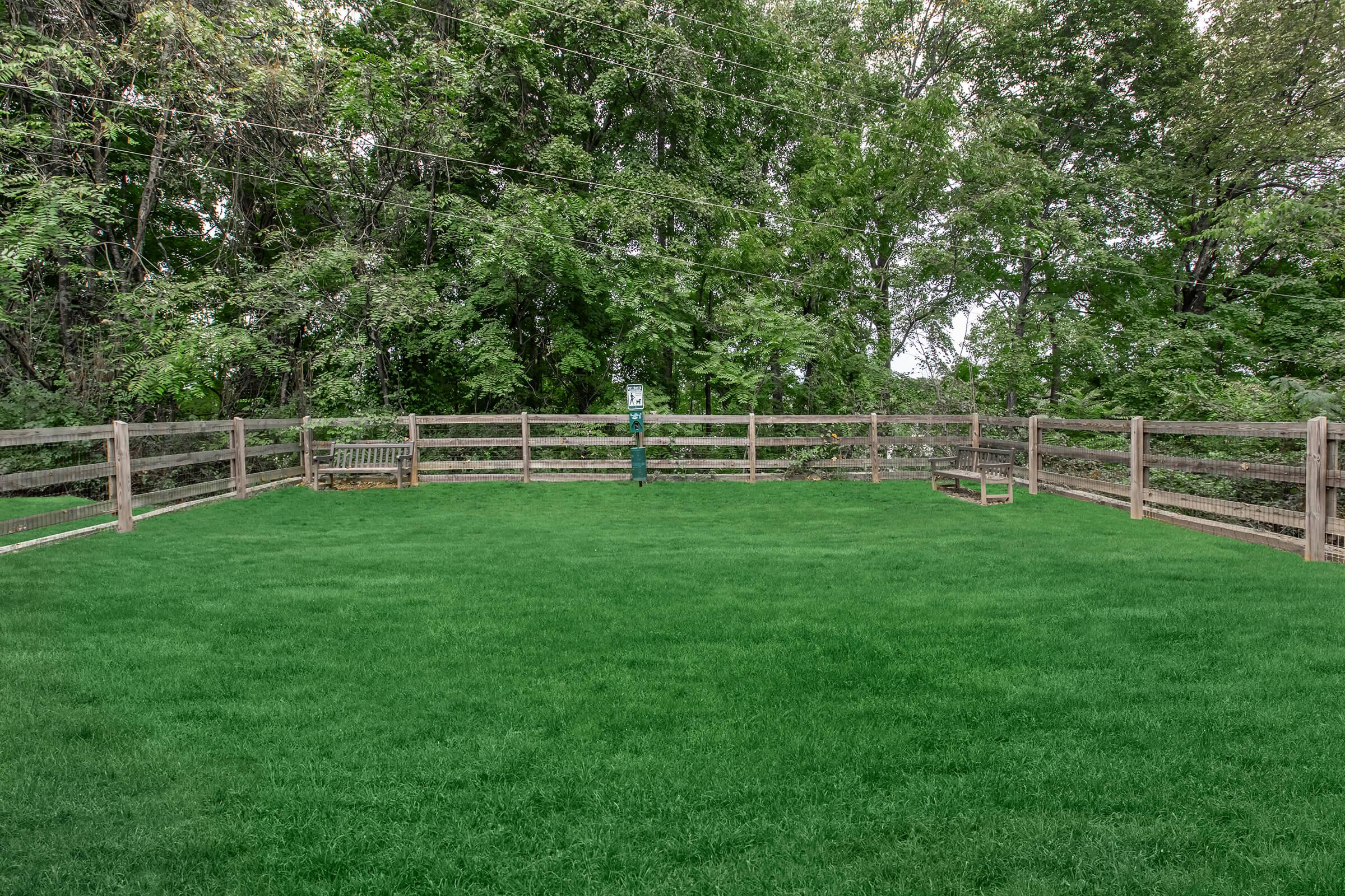 a close up of a lush green field