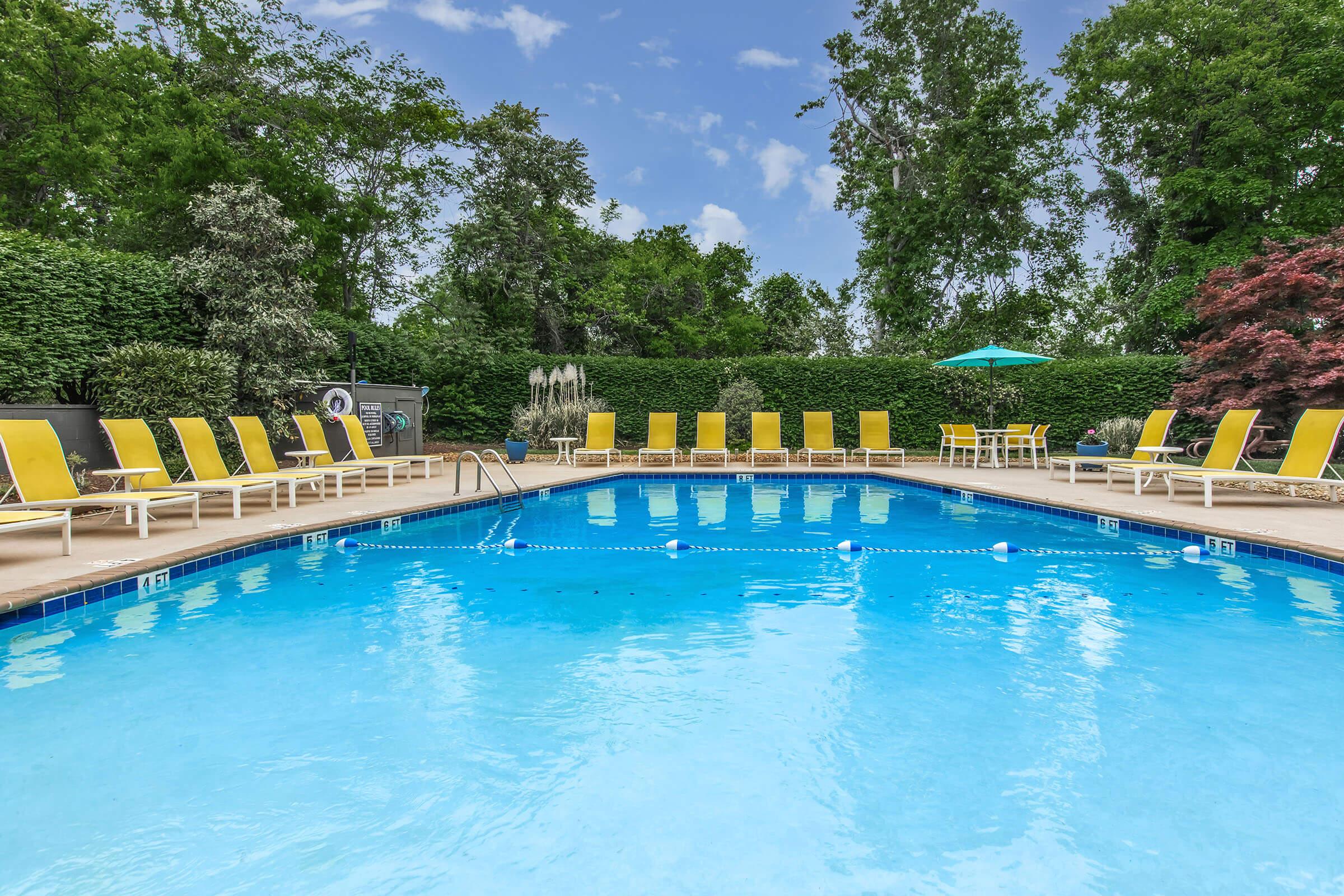 A tranquil outdoor swimming pool surrounded by vibrant greenery and bright yellow lounge chairs. The clear blue water reflects a sunny sky, with a few fluffy clouds. Decorative trees and shrubs create a serene atmosphere, while an umbrella provides shade near the poolside.