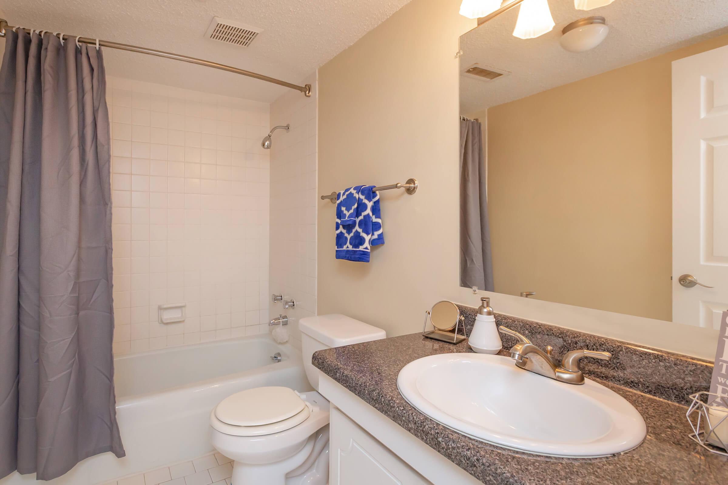 Modern Bathroom at Kingston Pointe Apartments in Knoxville, Tennessee