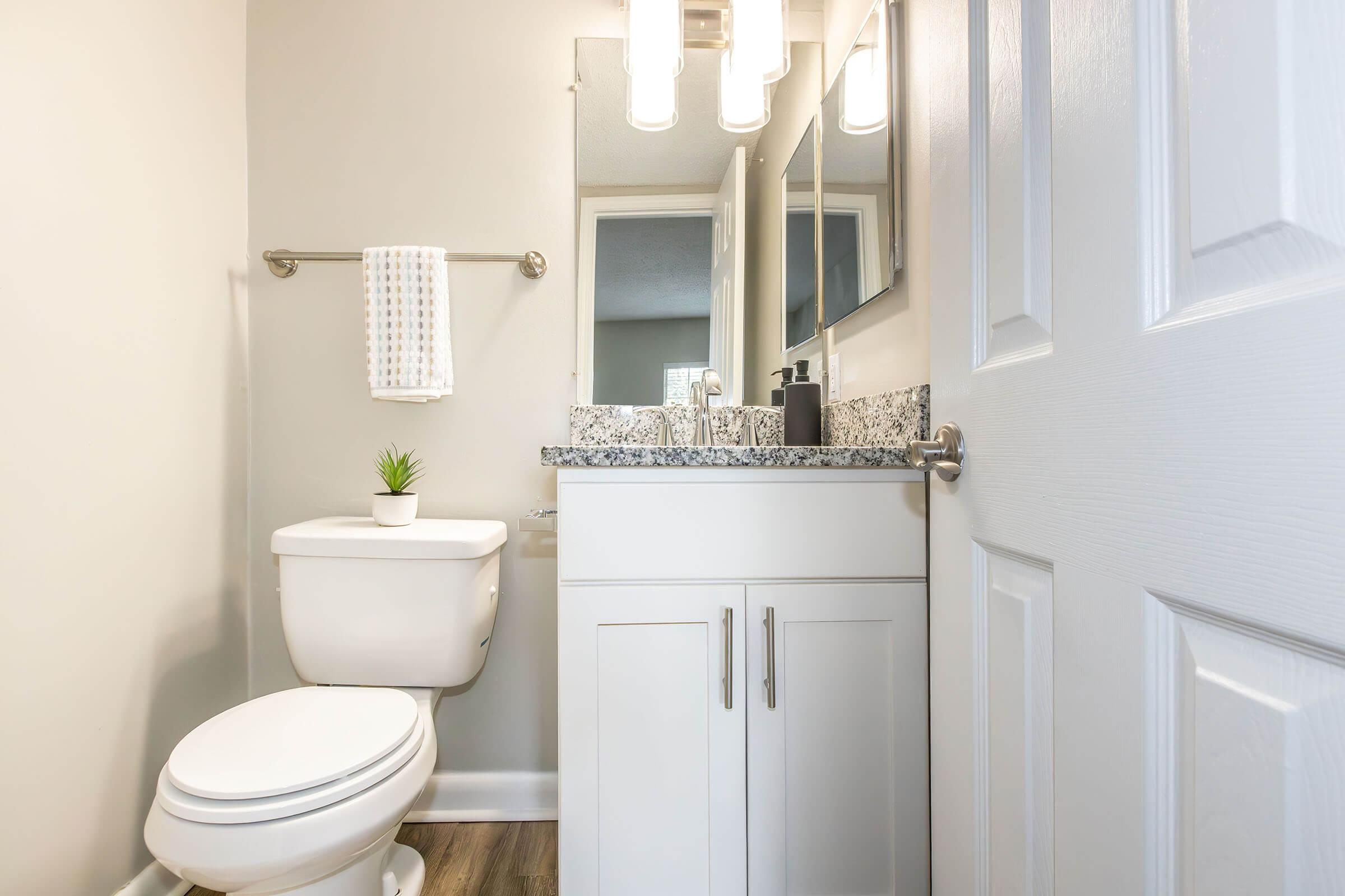 A modern bathroom featuring a white toilet, a granite countertop with a sink, a large mirror, and contemporary light fixtures. There is a small plant on the counter and a towel hanging on a bar. The walls are painted light gray, and the floor has a wooden appearance.