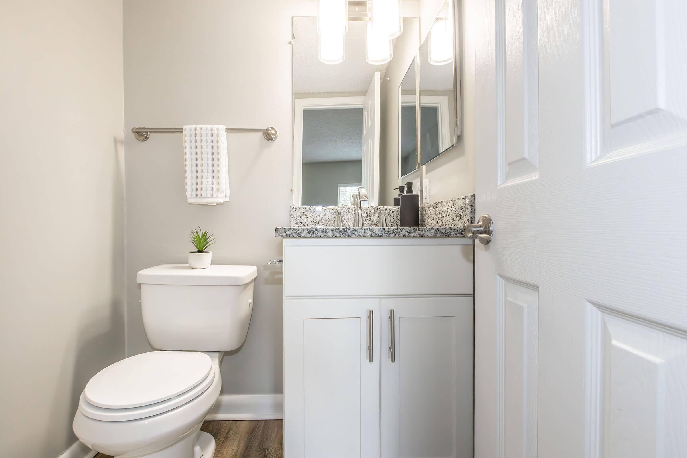 A modern bathroom featuring a white toilet, a granite countertop with a small plant, a large mirror, and pendant lighting. The walls are painted in a light gray, and there is a towel rack with a decorative towel. The décor is clean and minimalist, creating a fresh and inviting atmosphere.
