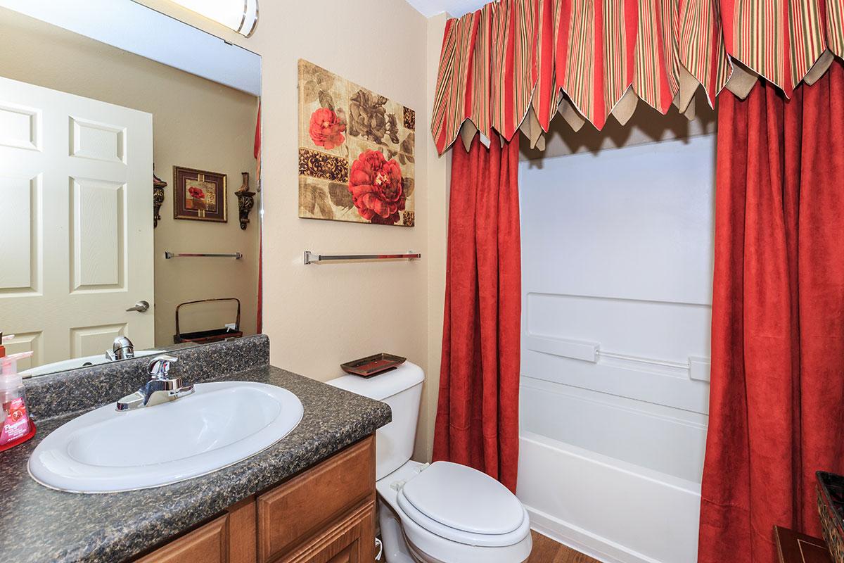 a red and white shower curtain