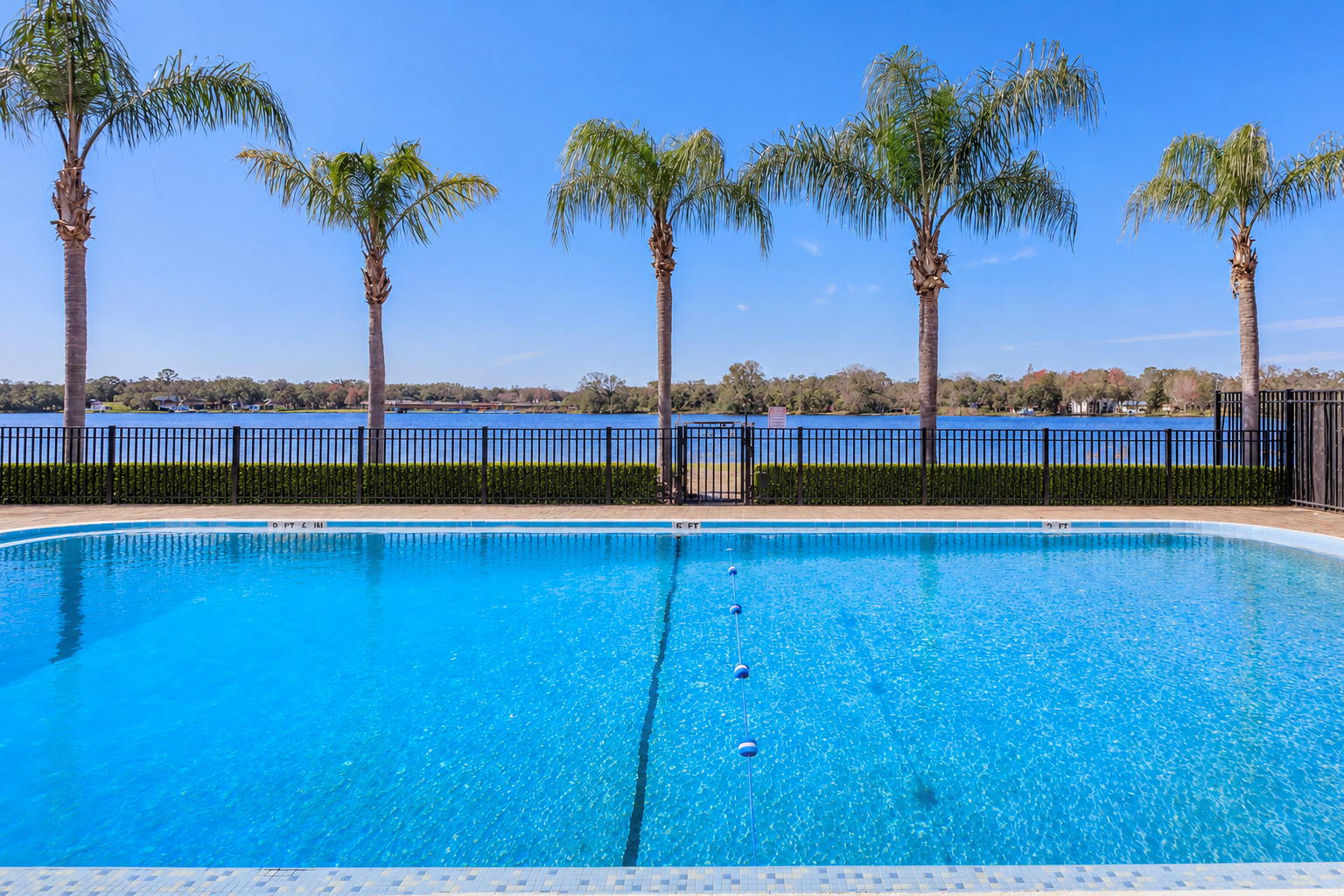 A clear blue swimming pool surrounded by palm trees, with a lake visible in the background. The sky is bright blue with a few clouds, and the area is enclosed by a black fence. The scene evokes a serene and tranquil environment ideal for relaxation.