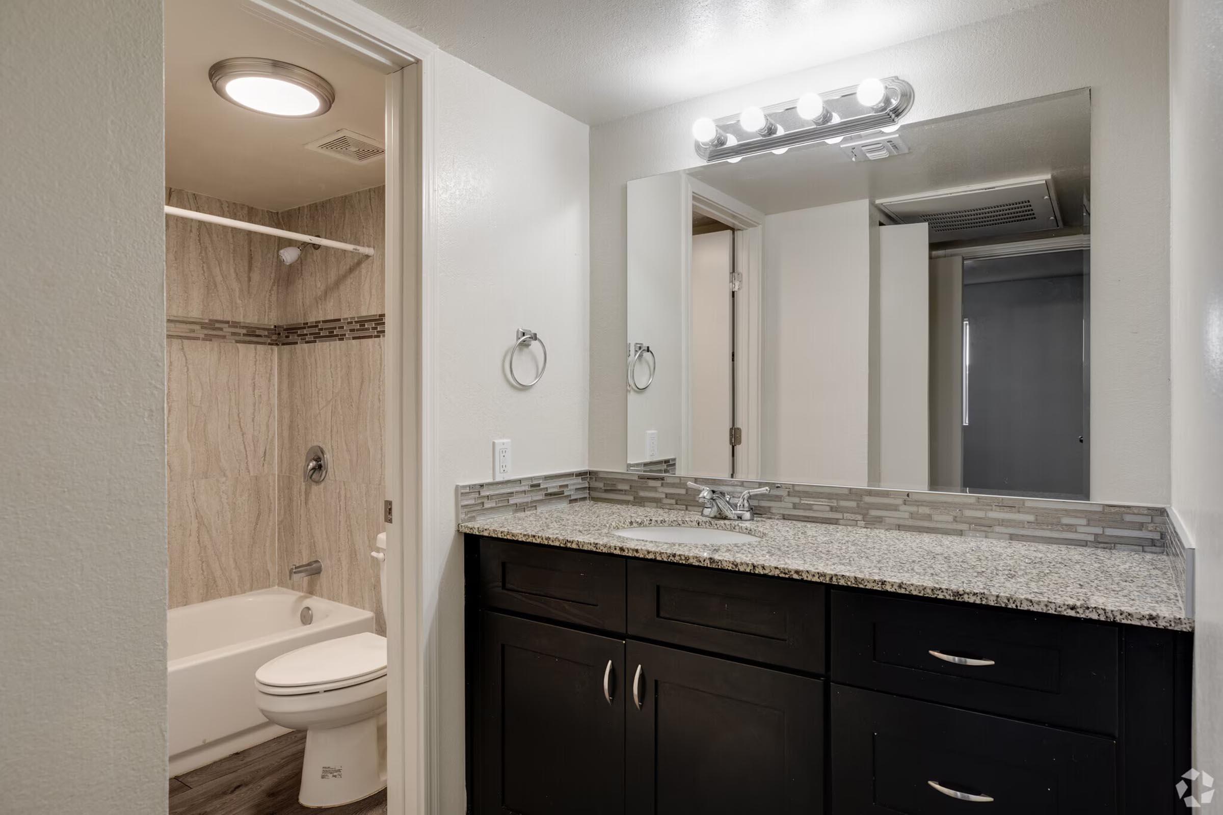 A modern bathroom featuring a spacious vanity with dark cabinetry and a granite countertop, a large mirror with lighting above, a bathtub, and a tiled wall. The decor is neutral and contemporary, with light-colored walls and a clean, minimalistic design.