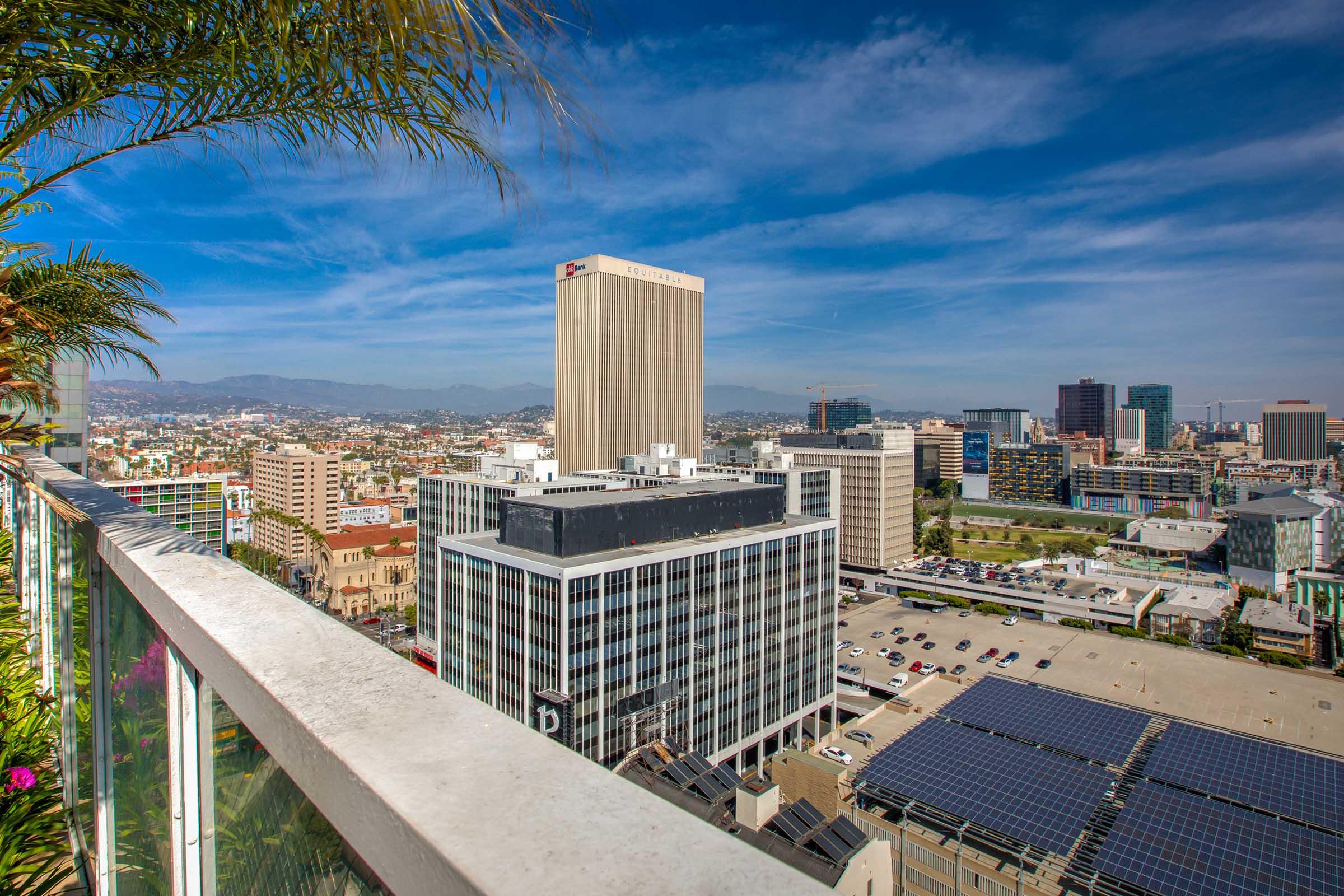 a view of the city with a palm tree in the foreground