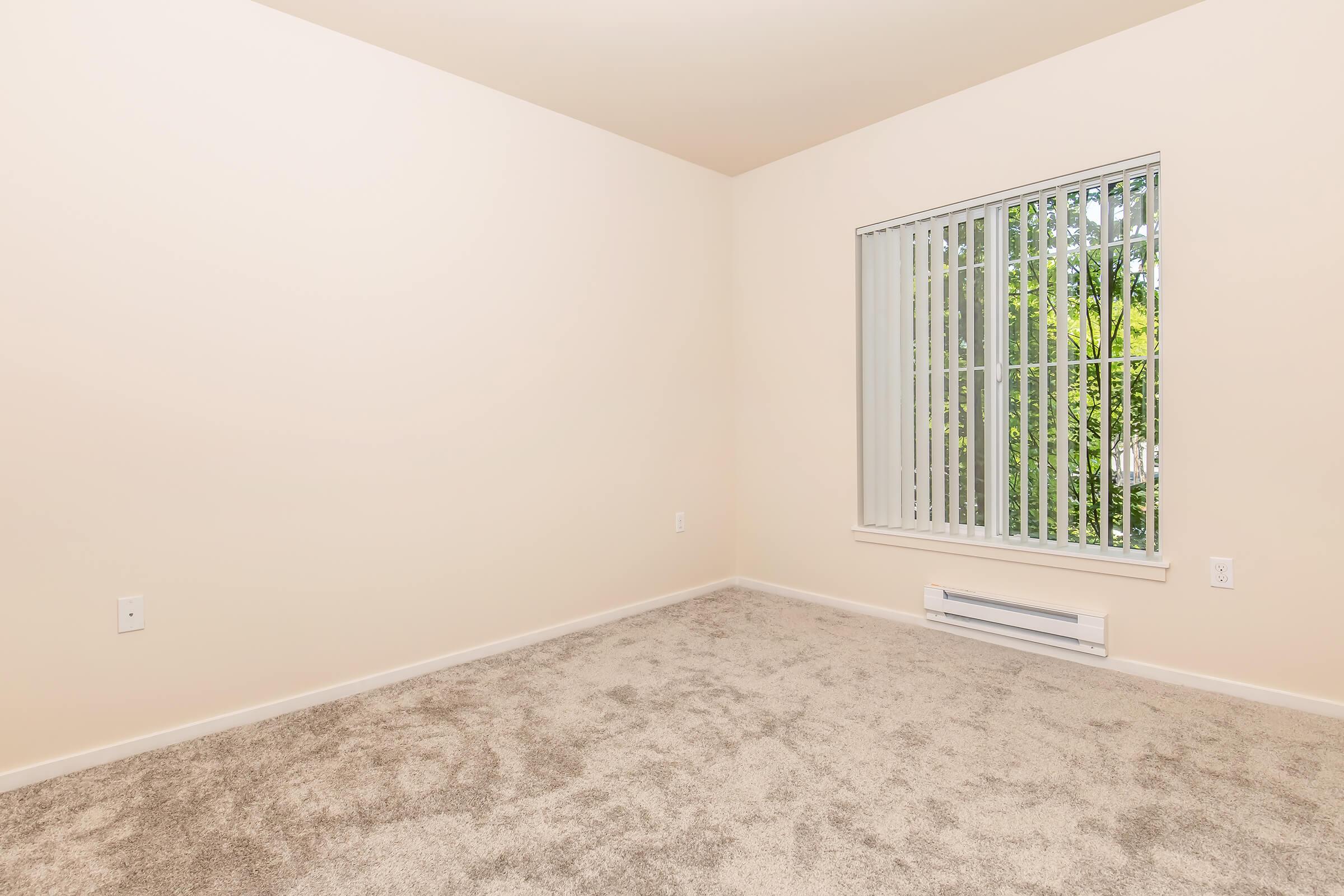 Empty room with beige walls and light brown carpet. A large window with vertical blinds allows natural light to enter, providing a view of greenery outside. The room has no furniture, creating a spacious and minimalistic atmosphere.