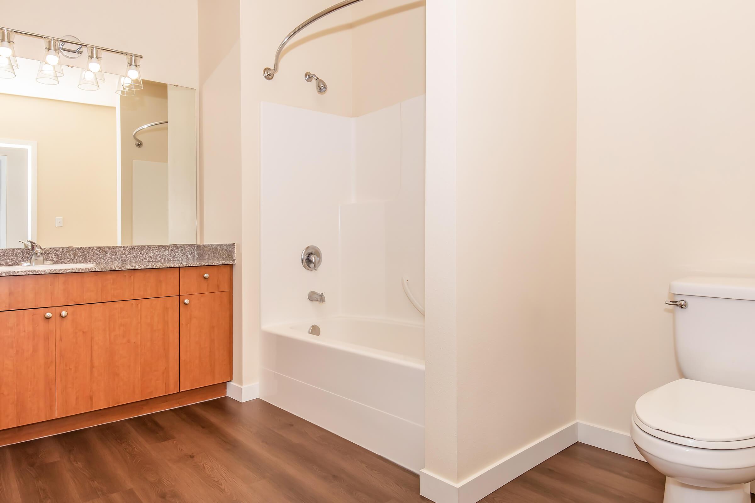 A modern bathroom featuring a bathtub with a shower above it, a granite countertop vanity with a sink, a mirror, and a white toilet. The flooring is a dark wood, and the walls are painted in a light color, creating a bright and clean atmosphere.
