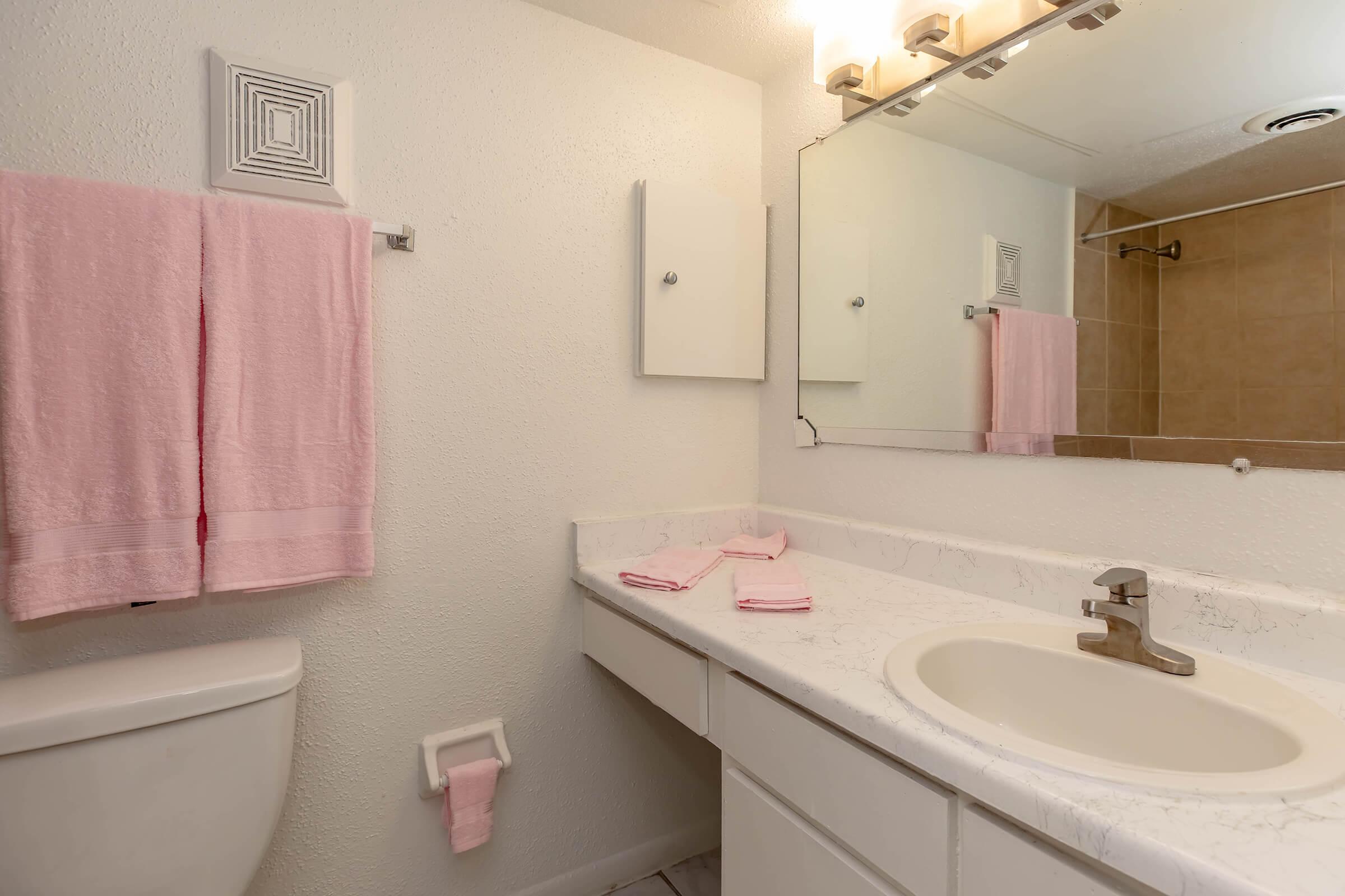 A clean, well-lit bathroom featuring a white countertop with a sink, a mirror above, pink towels hanging on a rack, and a toilet. The walls are painted light shades and there's a small decorative element near the toilet. Overall, the space has a bright and inviting appearance.