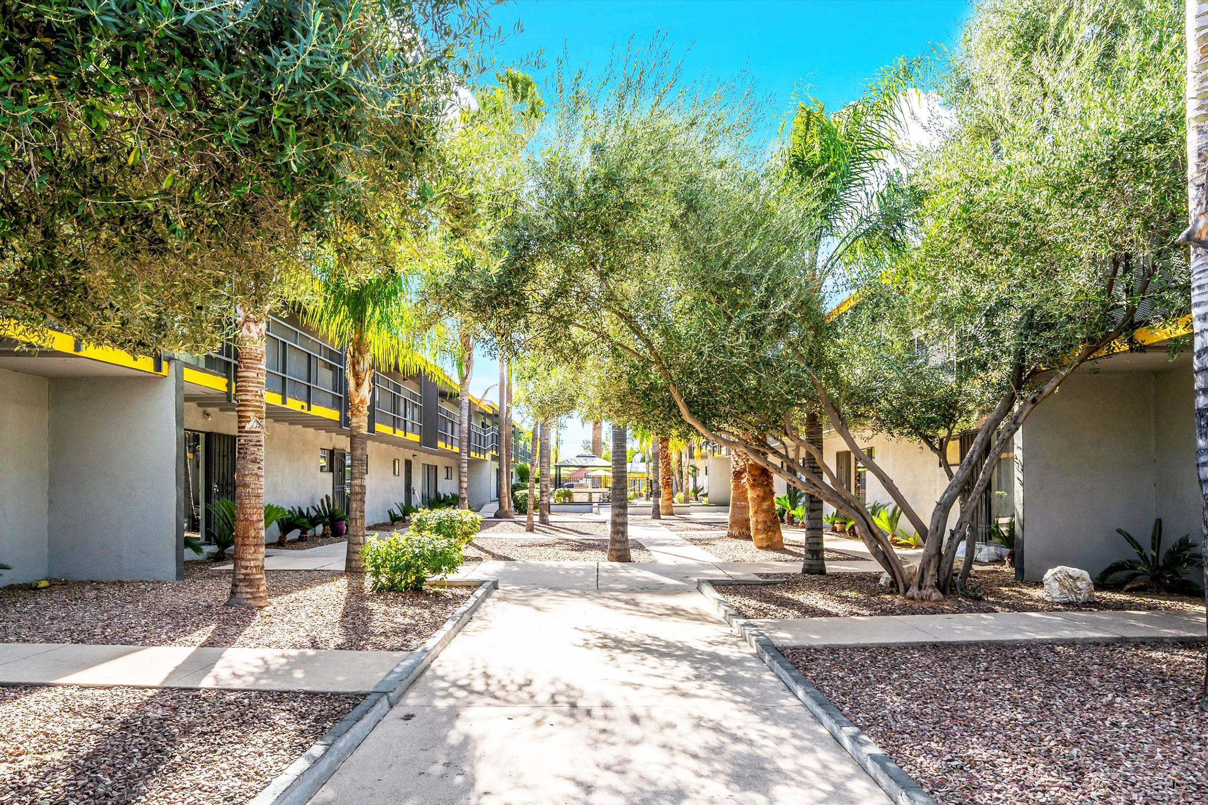 A sunny courtyard with palm and leafy trees, surrounded by modern buildings. Pathways lined with gravel lead through the greenery, creating a welcoming atmosphere in a residential area. Bright blue sky above enhances the vibrant setting.