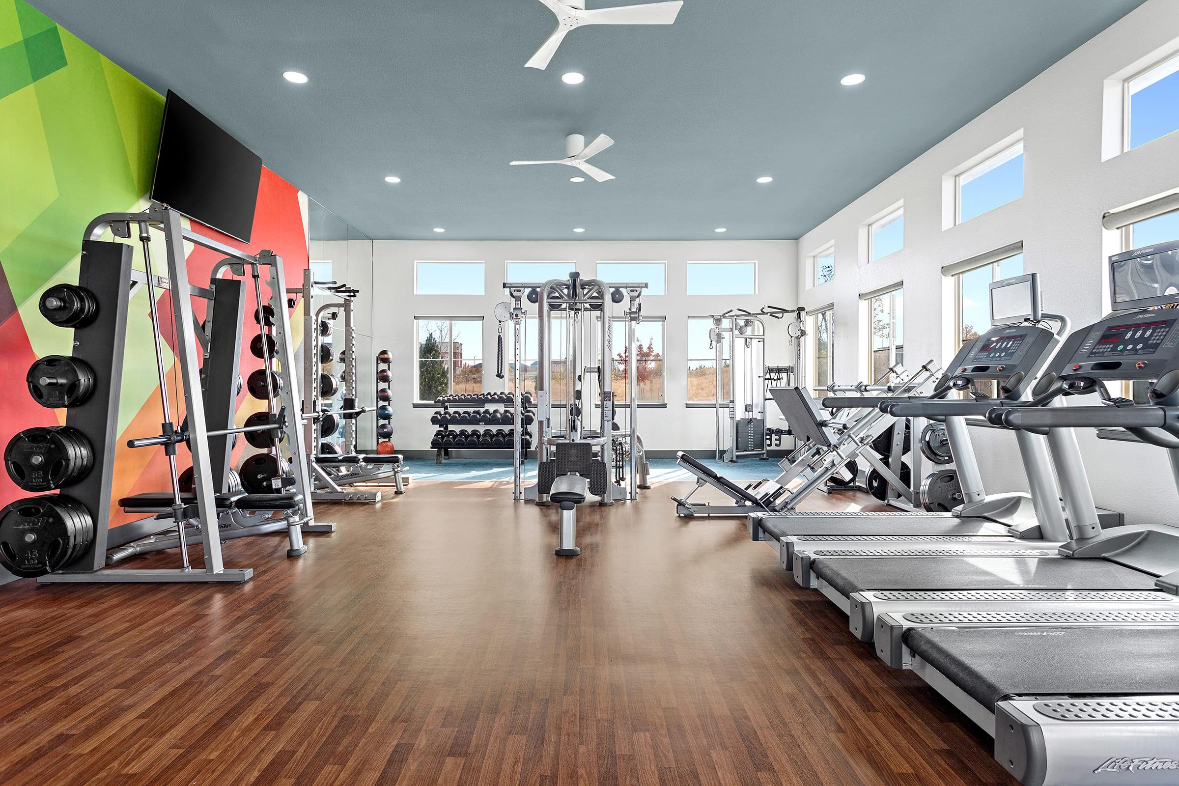 A modern gym interior featuring a variety of exercise equipment, including weight plates, treadmills, and multi-use machines. The space is well-lit with large windows, colorful wall art, and a sleek wooden floor, creating an inviting atmosphere for fitness enthusiasts.