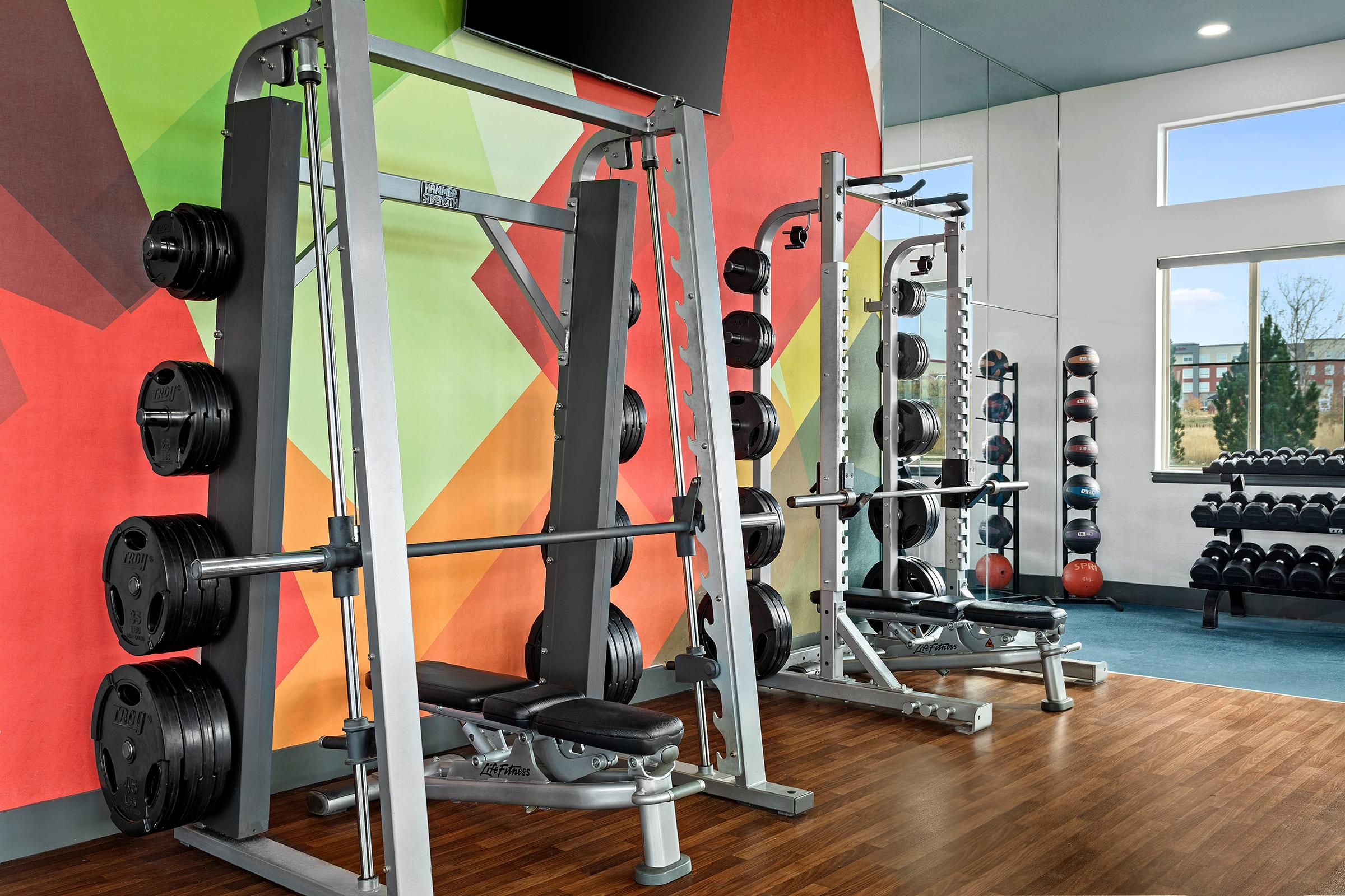 A well-equipped gym featuring two weightlifting machines with multiple weight plates, surrounded by colorful wall art. Additional free weights are neatly arranged on racks in the background, and large windows allow natural light to brighten the space.