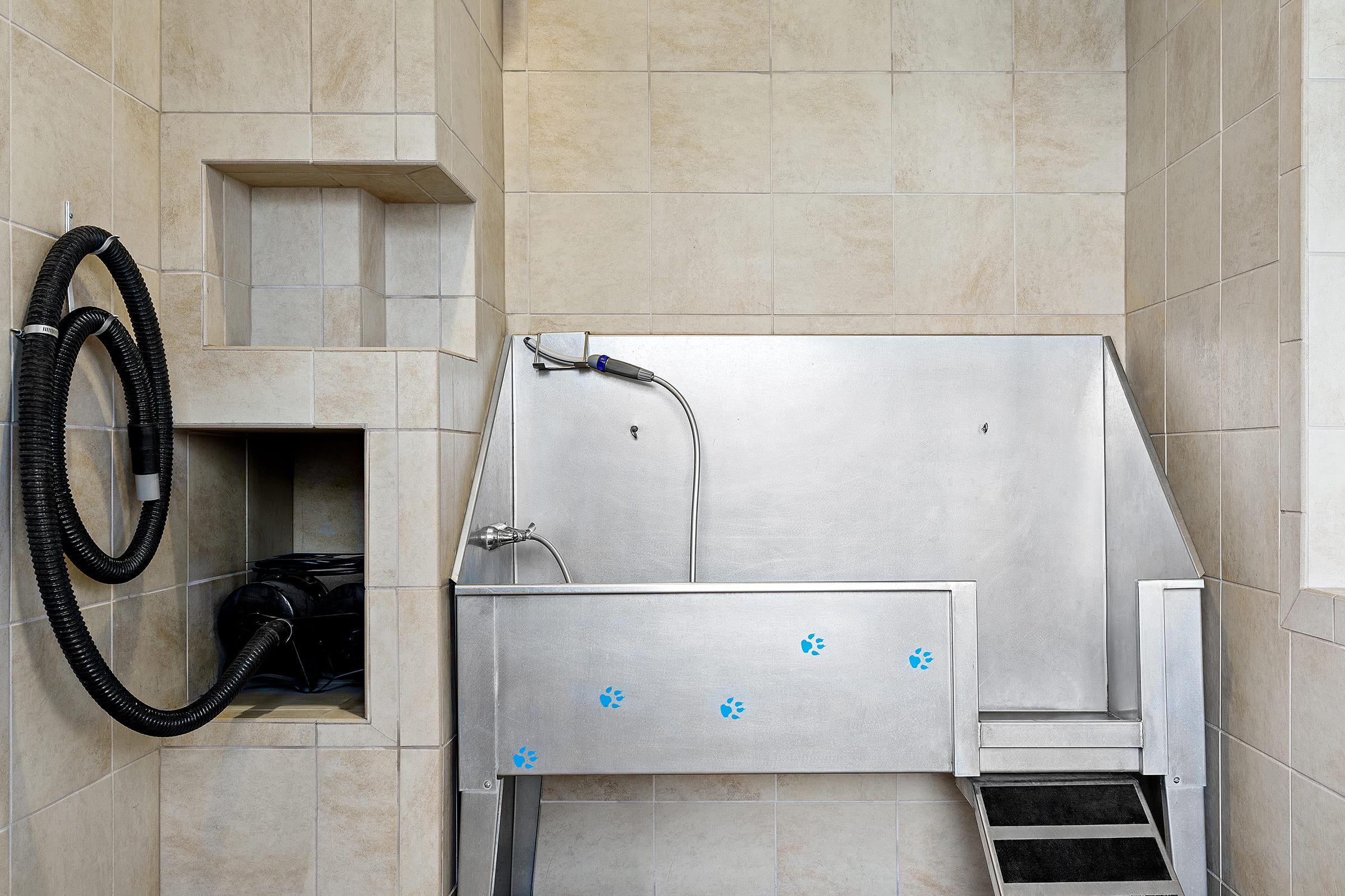 A stainless steel pet washing station with a handheld shower nozzle, steps, and blue paw print decals, set against tiled walls. There is a corded vacuum for pet grooming nearby, with a small alcove for storage.